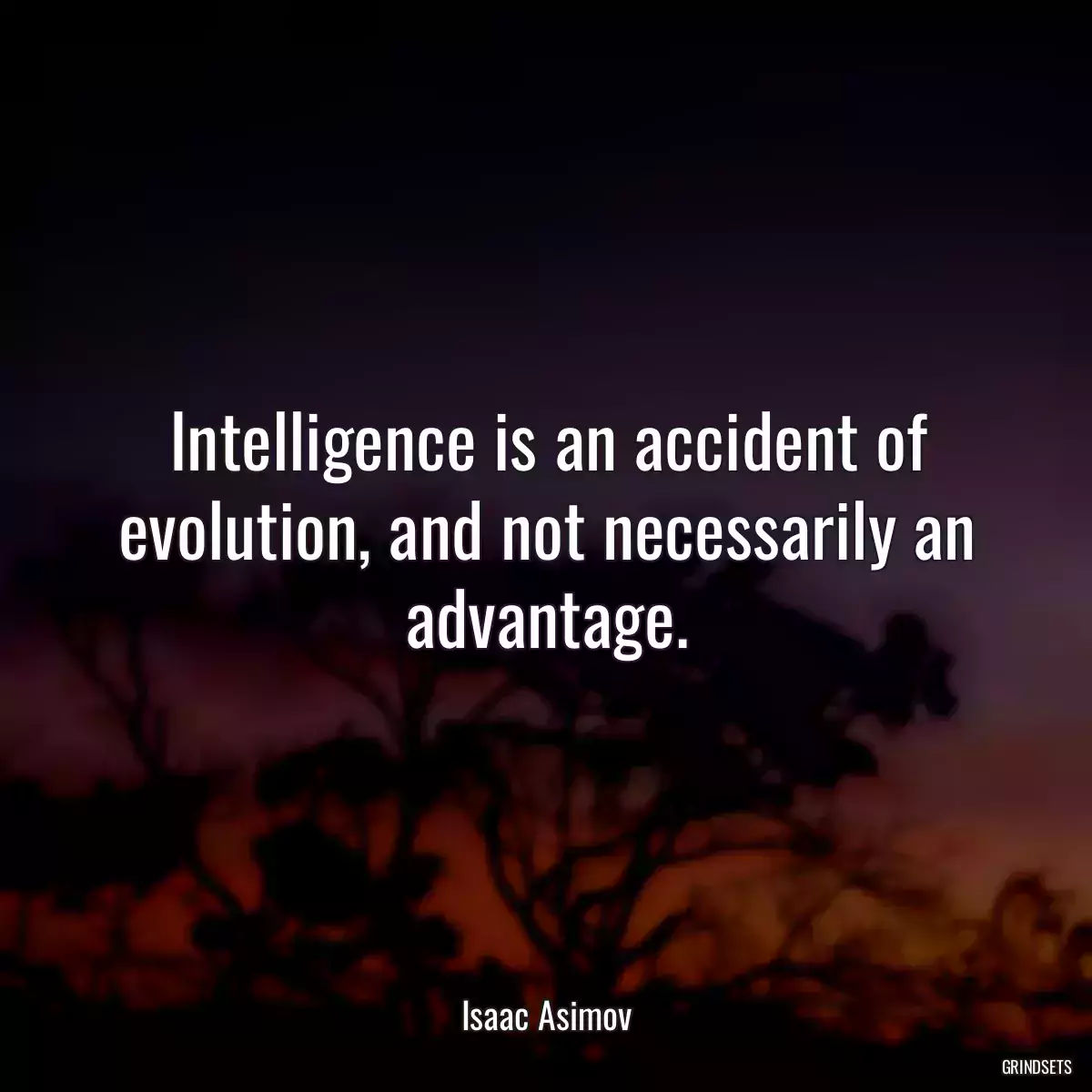 Intelligence is an accident of evolution, and not necessarily an advantage.