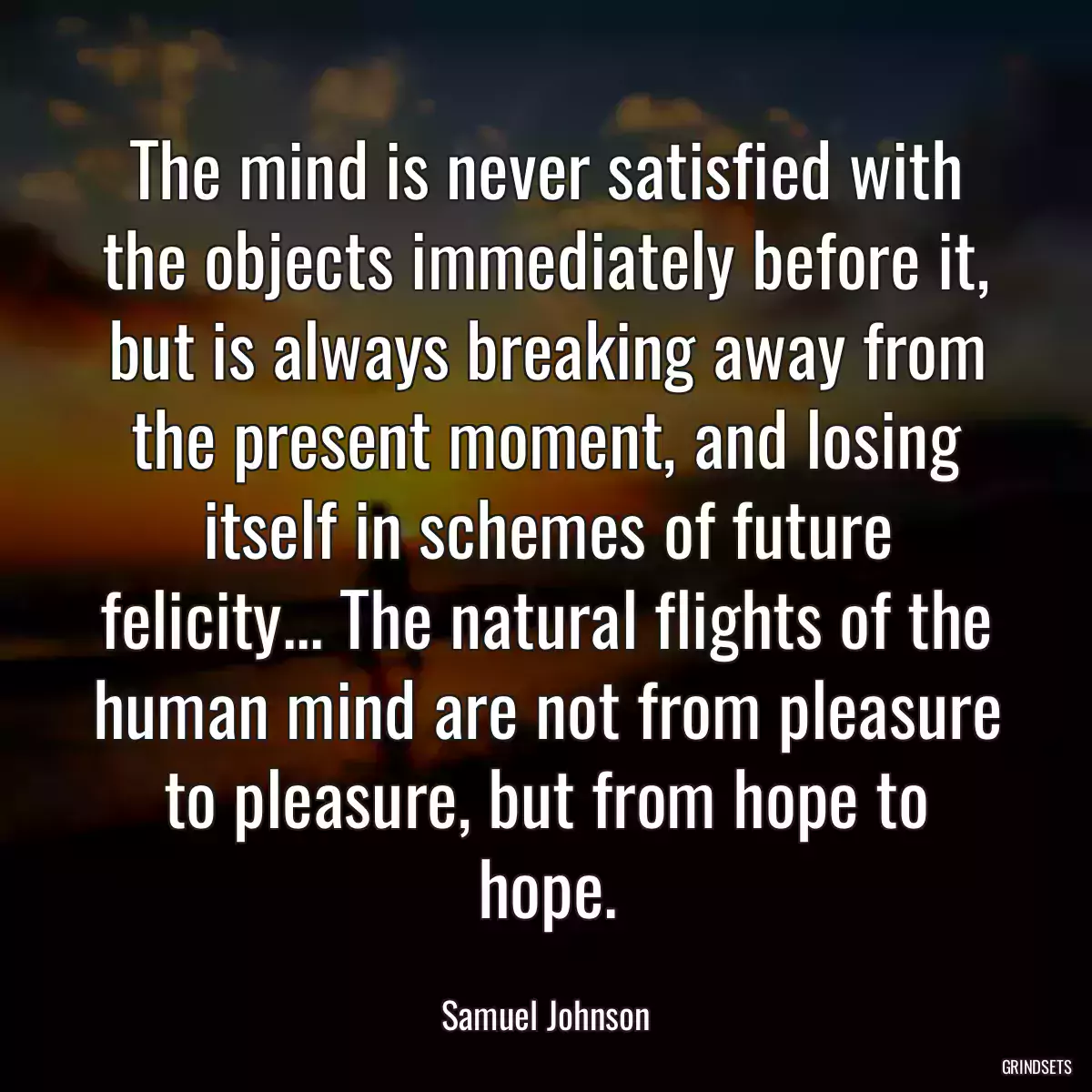 The mind is never satisfied with the objects immediately before it, but is always breaking away from the present moment, and losing itself in schemes of future felicity... The natural flights of the human mind are not from pleasure to pleasure, but from hope to hope.