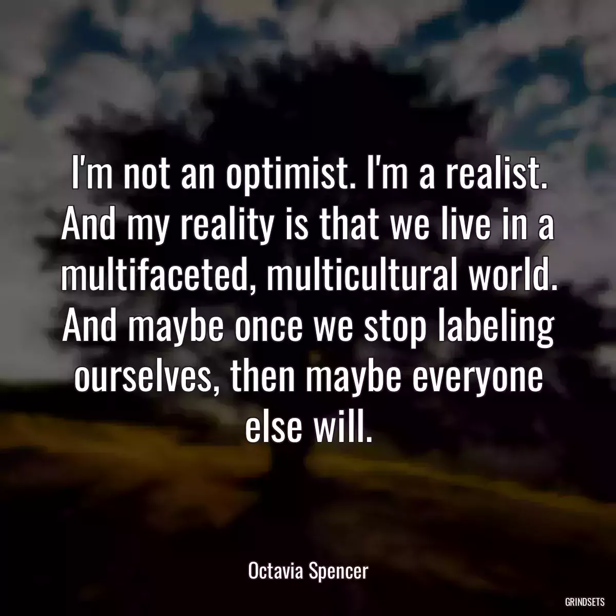 I\'m not an optimist. I\'m a realist. And my reality is that we live in a multifaceted, multicultural world. And maybe once we stop labeling ourselves, then maybe everyone else will.