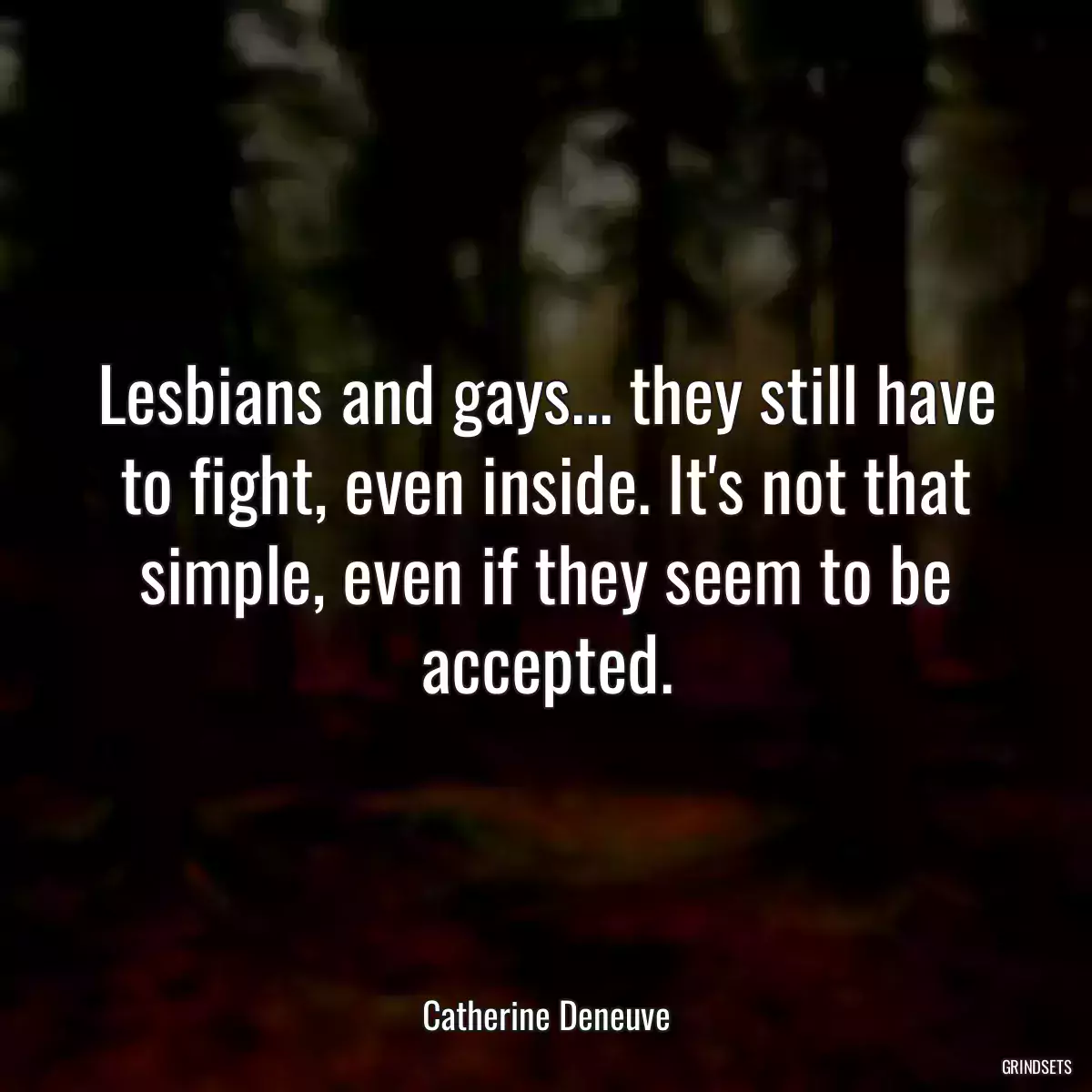 Lesbians and gays... they still have to fight, even inside. It\'s not that simple, even if they seem to be accepted.