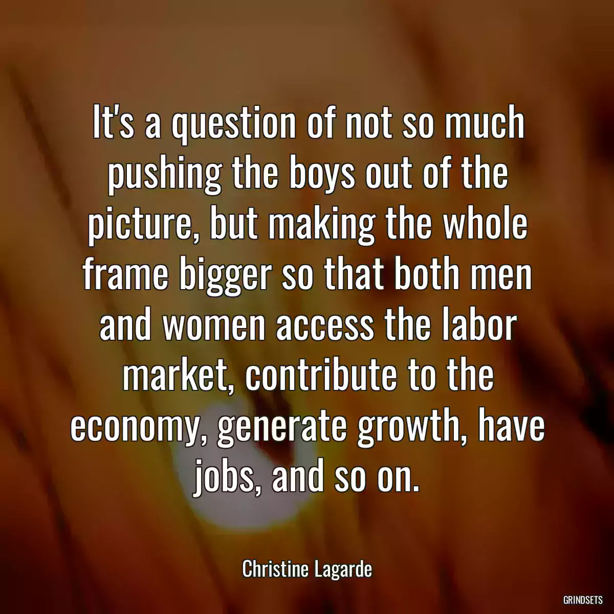 It\'s a question of not so much pushing the boys out of the picture, but making the whole frame bigger so that both men and women access the labor market, contribute to the economy, generate growth, have jobs, and so on.