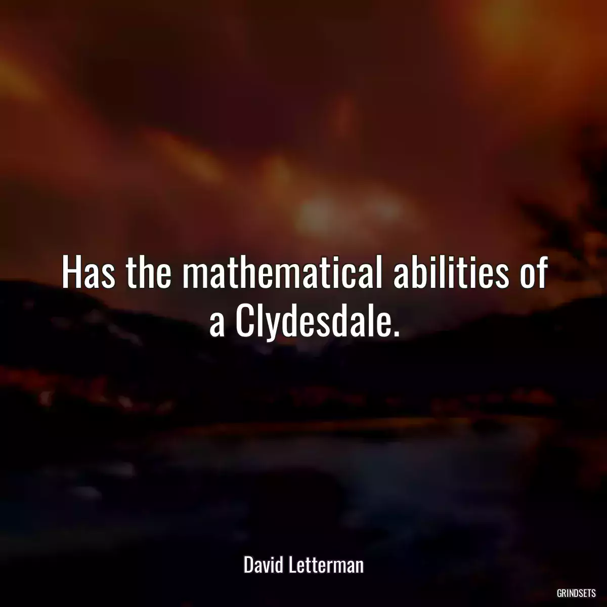 Has the mathematical abilities of a Clydesdale.