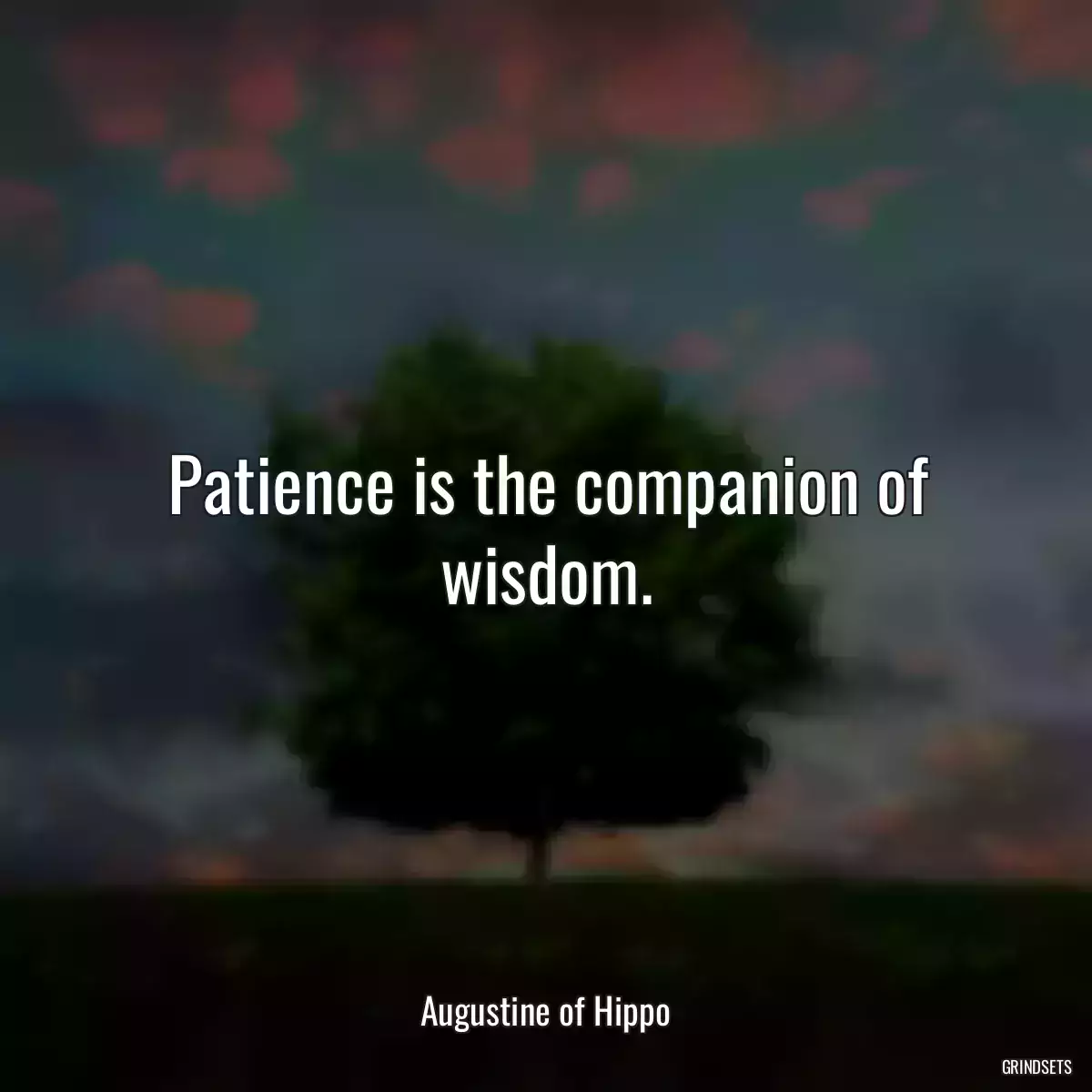 Patience is the companion of wisdom.