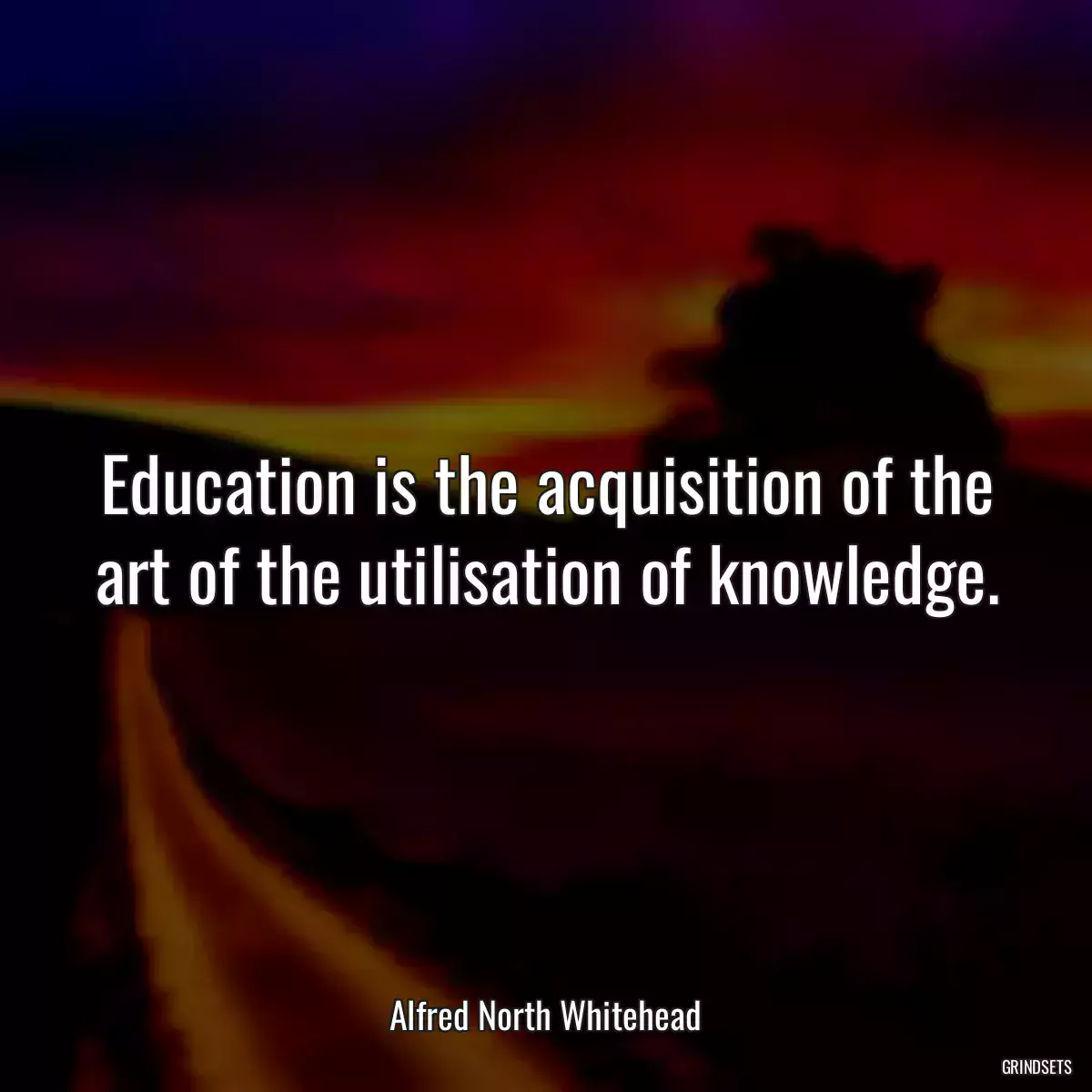 Education is the acquisition of the art of the utilisation of knowledge.