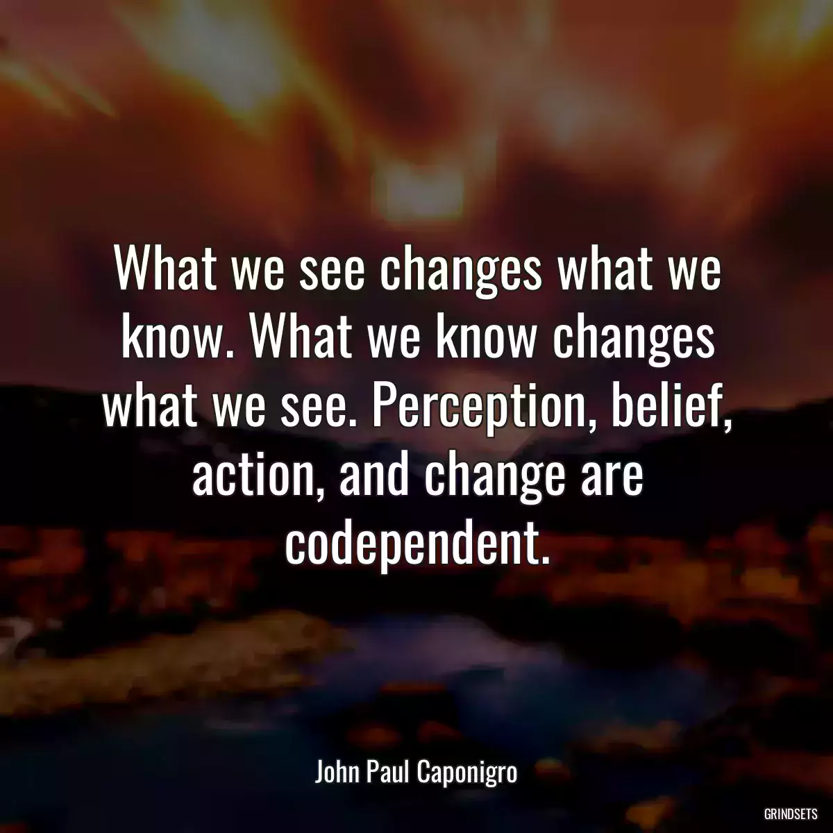 What we see changes what we know. What we know changes what we see. Perception, belief, action, and change are codependent.