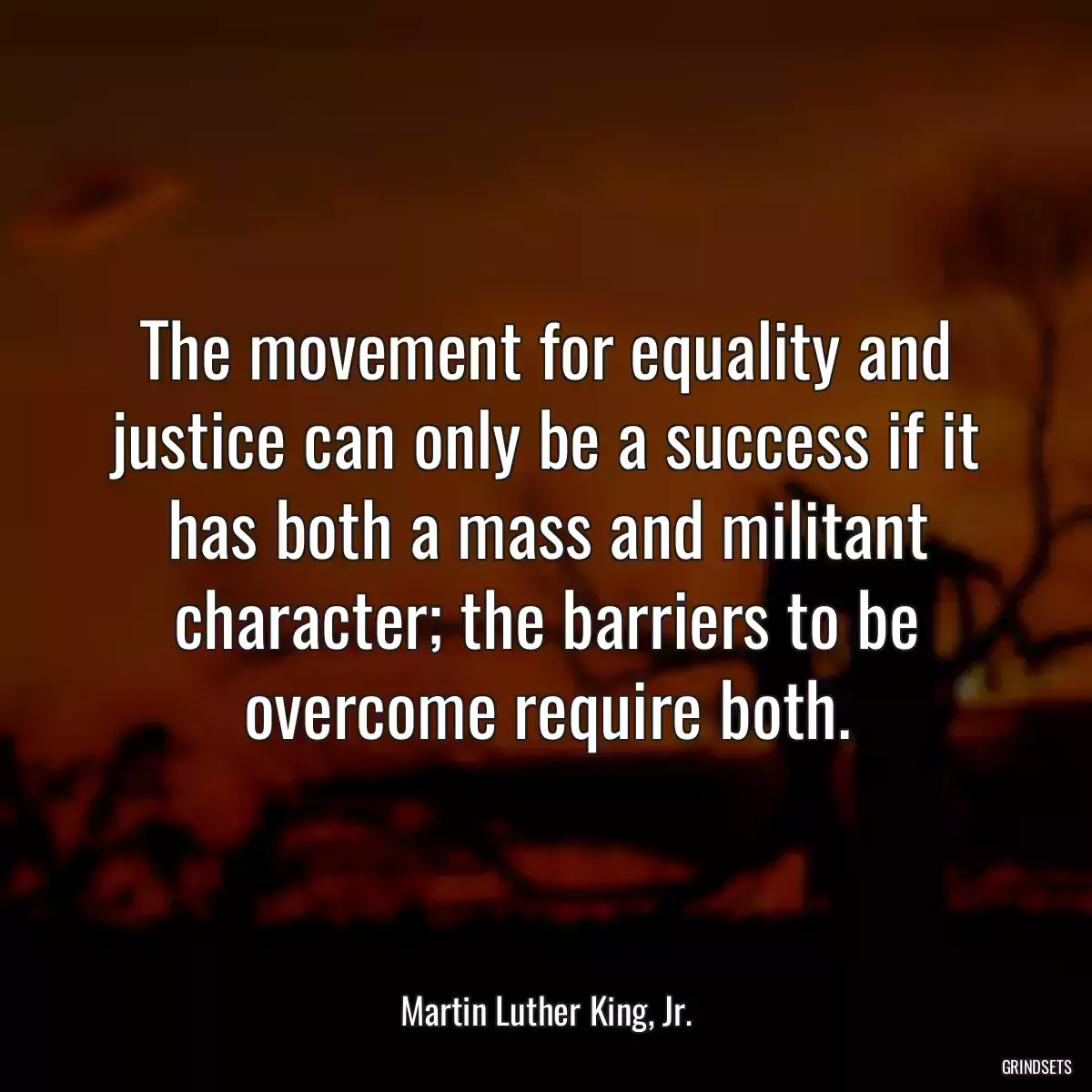 The movement for equality and justice can only be a success if it has both a mass and militant character; the barriers to be overcome require both.