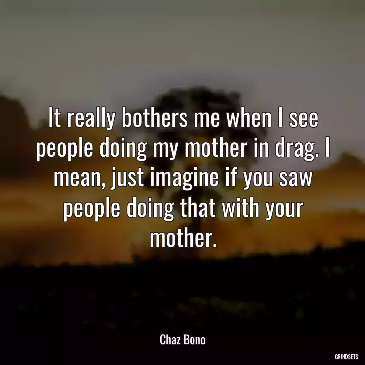 It really bothers me when I see people doing my mother in drag. I mean, just imagine if you saw people doing that with your mother.