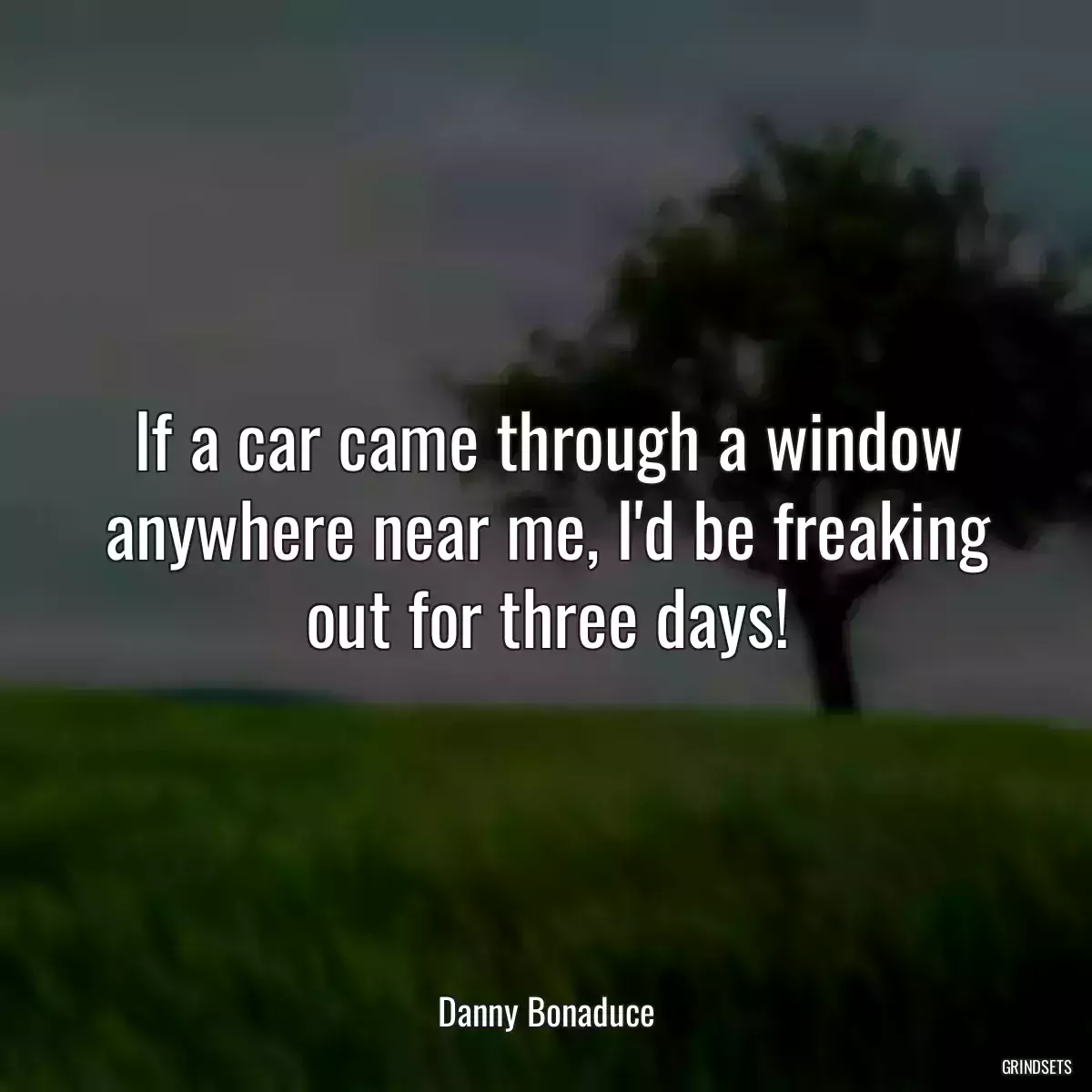 If a car came through a window anywhere near me, I\'d be freaking out for three days!