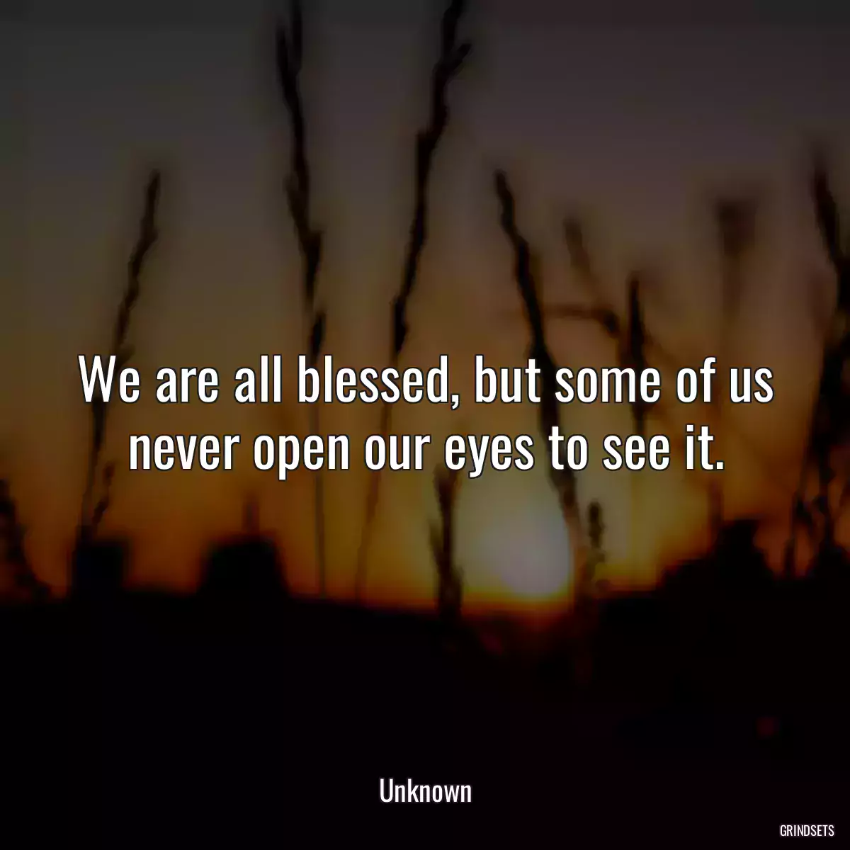 We are all blessed, but some of us never open our eyes to see it.