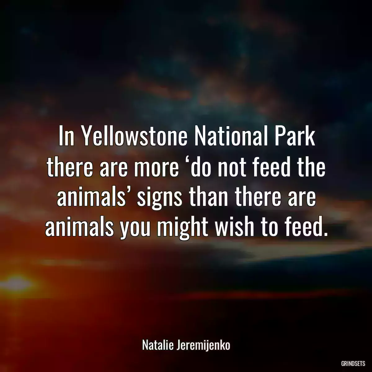 In Yellowstone National Park there are more ‘do not feed the animals’ signs than there are animals you might wish to feed.