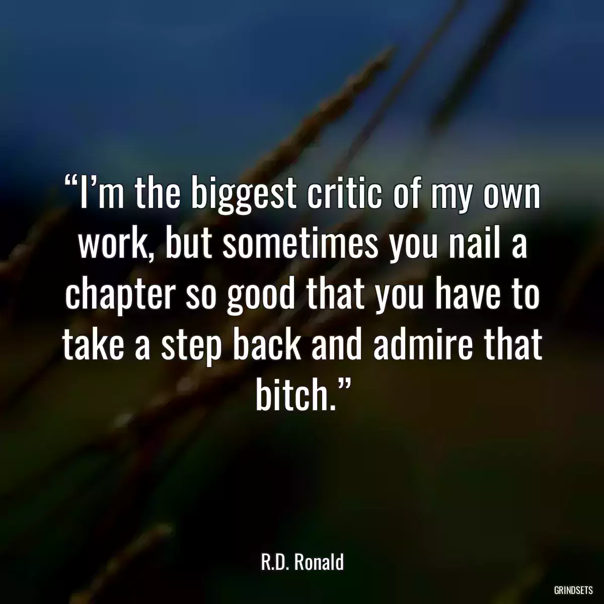 “I’m the biggest critic of my own work, but sometimes you nail a chapter so good that you have to take a step back and admire that bitch.”