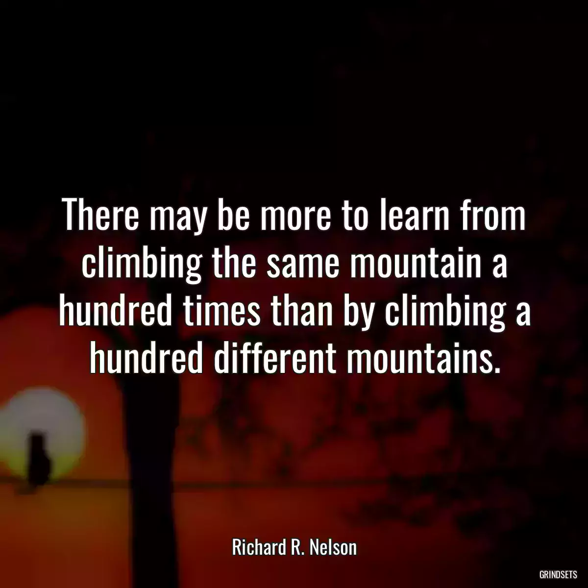 There may be more to learn from climbing the same mountain a hundred times than by climbing a hundred different mountains.