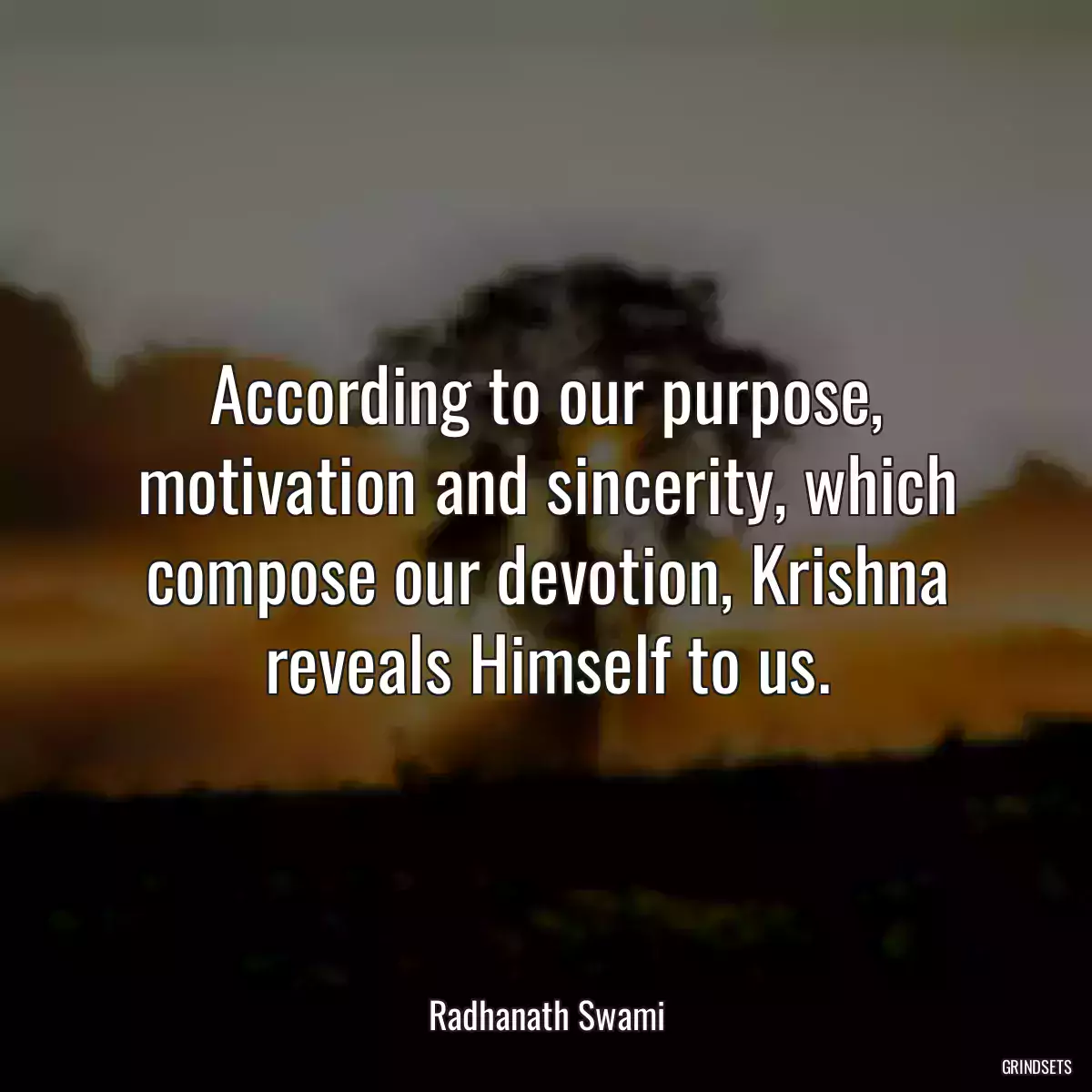 According to our purpose, motivation and sincerity, which compose our devotion, Krishna reveals Himself to us.