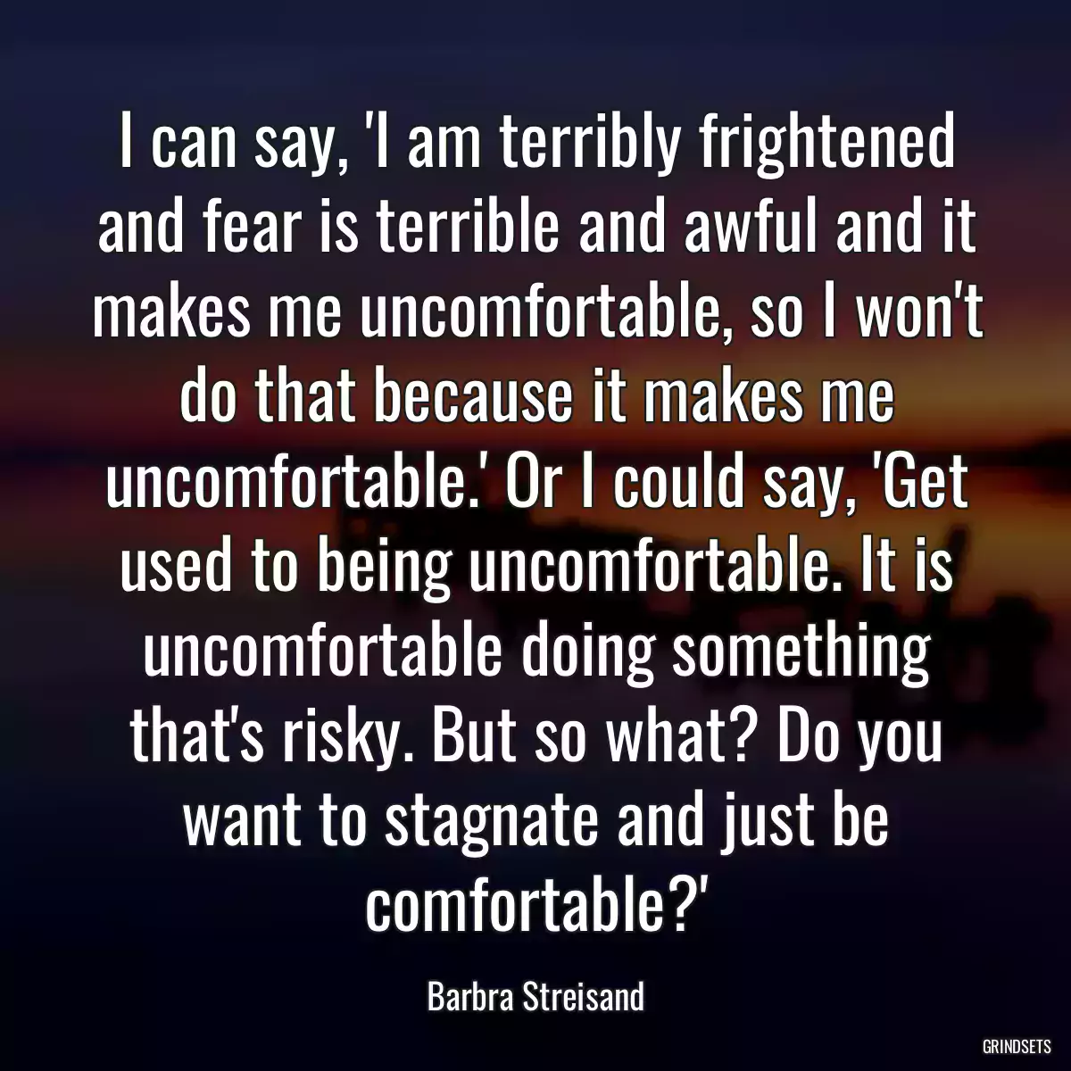 I can say, \'I am terribly frightened and fear is terrible and awful and it makes me uncomfortable, so I won\'t do that because it makes me uncomfortable.\' Or I could say, \'Get used to being uncomfortable. It is uncomfortable doing something that\'s risky. But so what? Do you want to stagnate and just be comfortable?\'