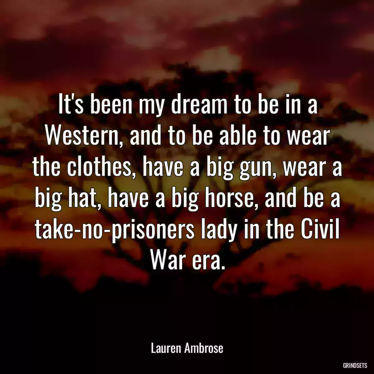 It\'s been my dream to be in a Western, and to be able to wear the clothes, have a big gun, wear a big hat, have a big horse, and be a take-no-prisoners lady in the Civil War era.