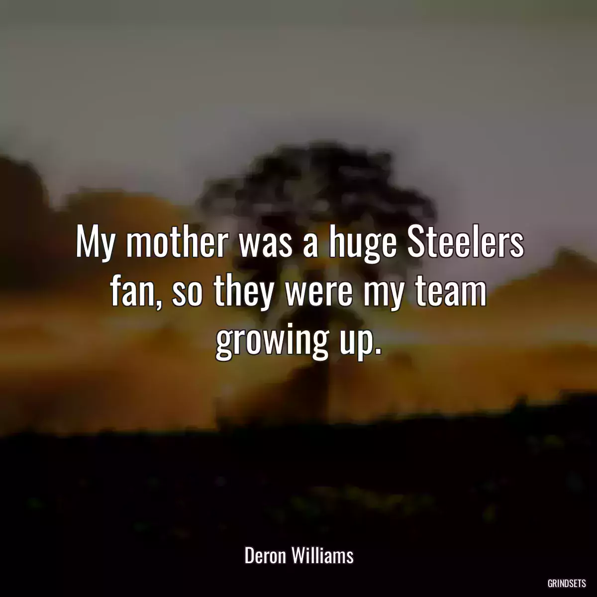 My mother was a huge Steelers fan, so they were my team growing up.