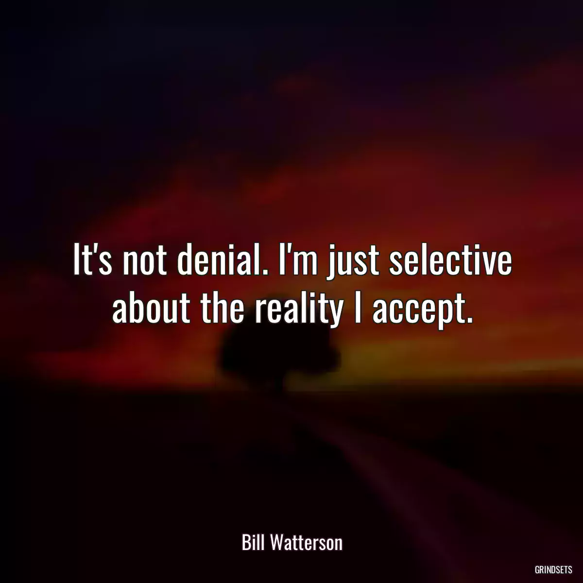 It\'s not denial. I\'m just selective about the reality I accept.