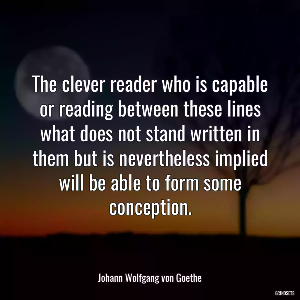 The clever reader who is capable or reading between these lines what does not stand written in them but is nevertheless implied will be able to form some conception.