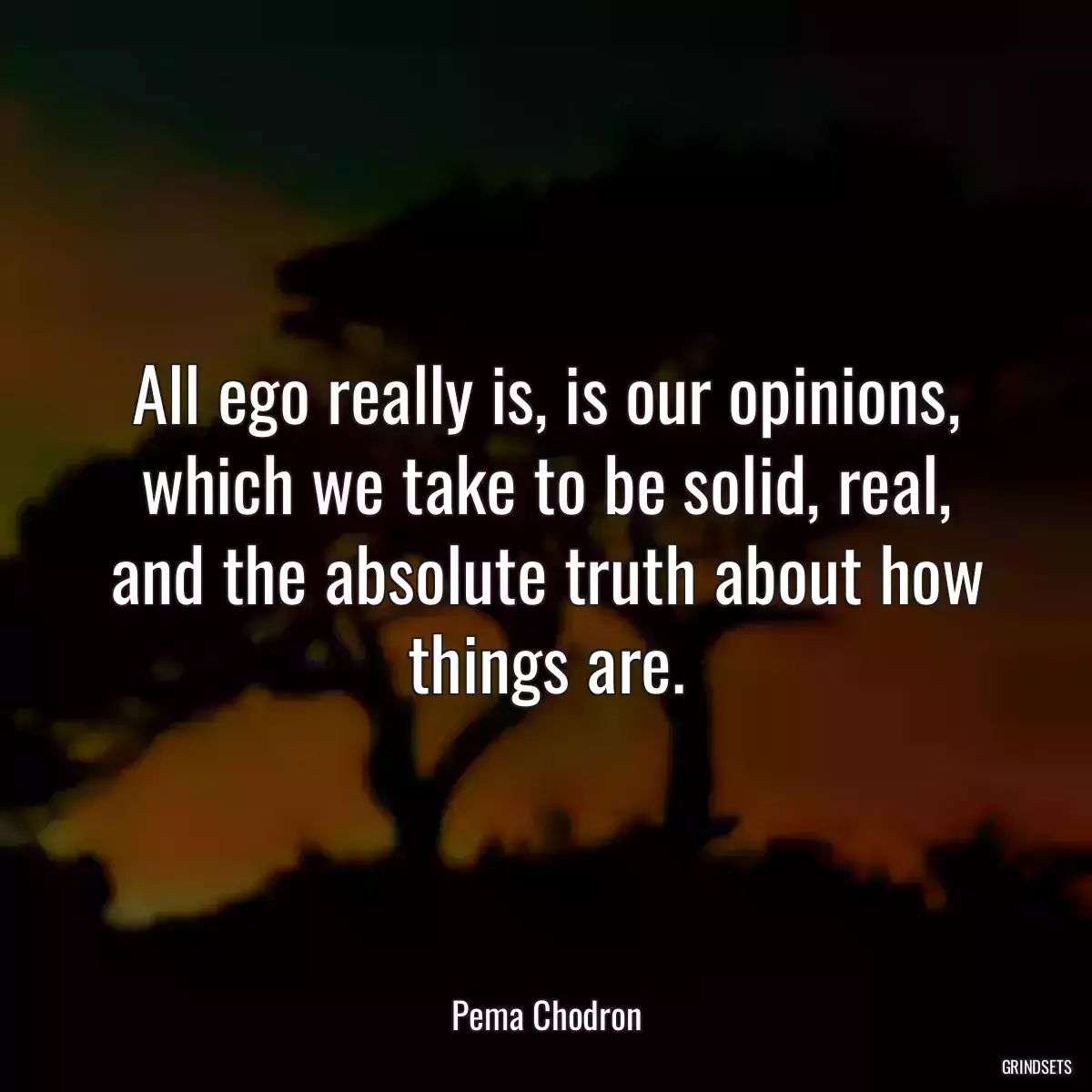 All ego really is, is our opinions, which we take to be solid, real, and the absolute truth about how things are.