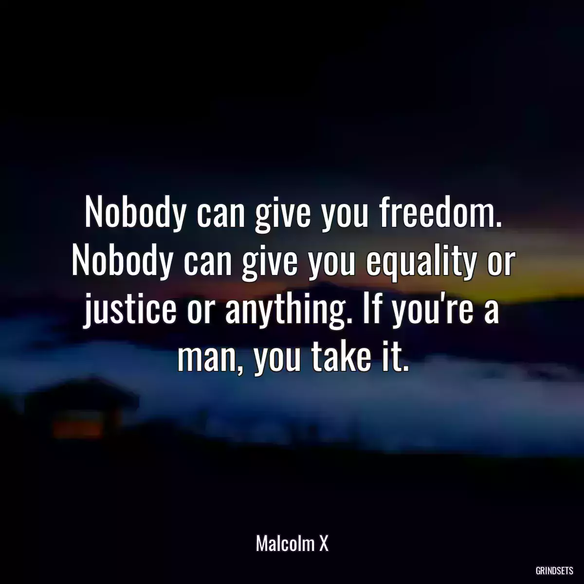 Nobody can give you freedom. Nobody can give you equality or justice or anything. If you\'re a man, you take it.