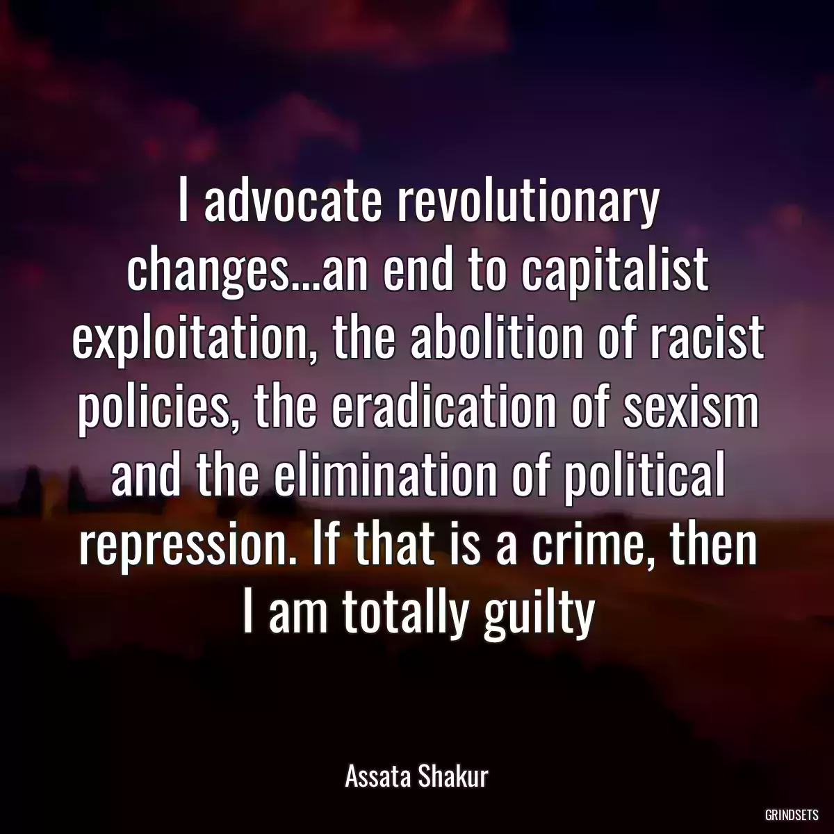 I advocate revolutionary changes...an end to capitalist exploitation, the abolition of racist policies, the eradication of sexism and the elimination of political repression. If that is a crime, then I am totally guilty