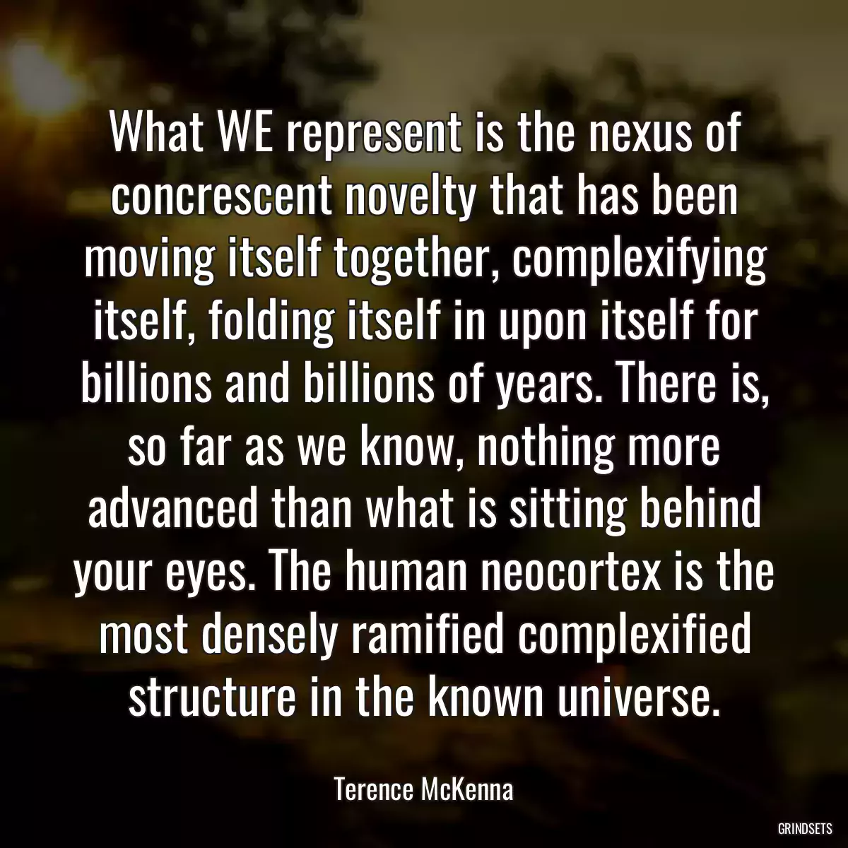 What WE represent is the nexus of concrescent novelty that has been moving itself together, complexifying itself, folding itself in upon itself for billions and billions of years. There is, so far as we know, nothing more advanced than what is sitting behind your eyes. The human neocortex is the most densely ramified complexified structure in the known universe.