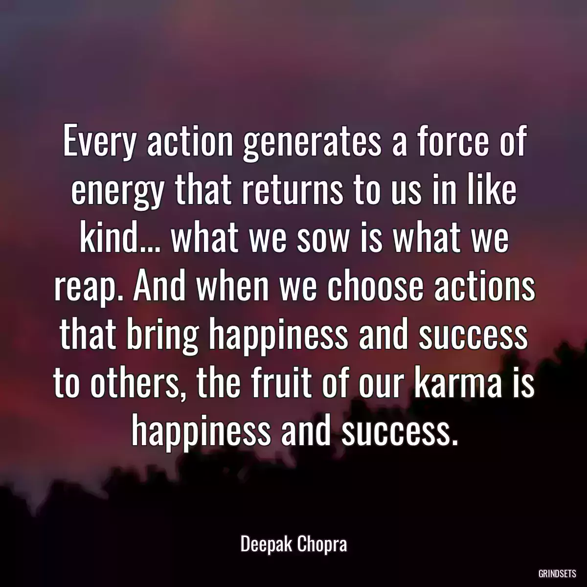 Every action generates a force of energy that returns to us in like kind... what we sow is what we reap. And when we choose actions that bring happiness and success to others, the fruit of our karma is happiness and success.