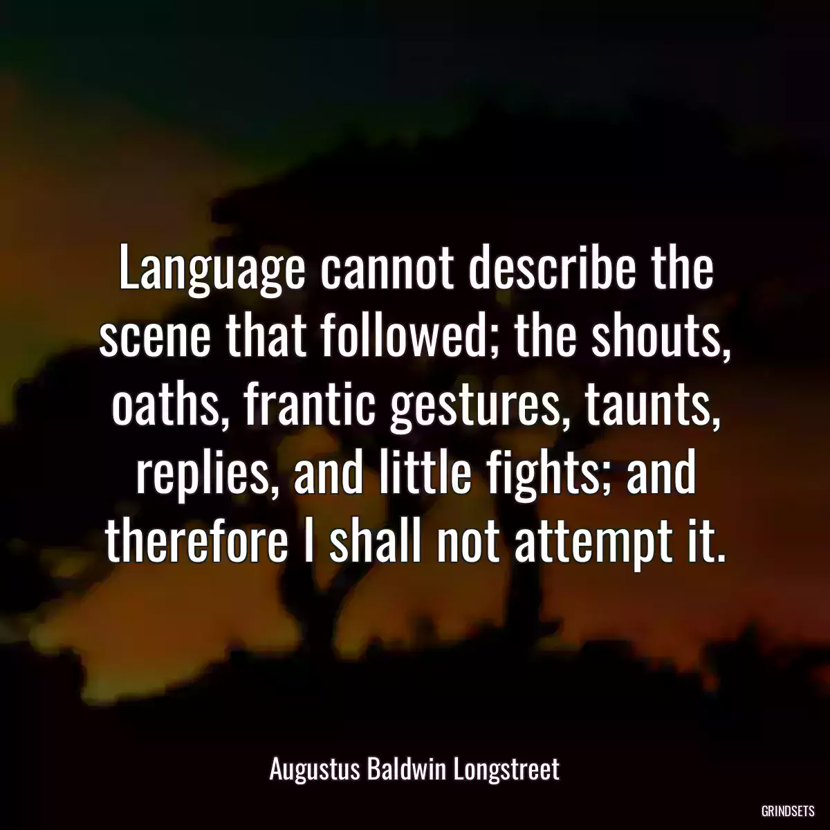 Language cannot describe the scene that followed; the shouts, oaths, frantic gestures, taunts, replies, and little fights; and therefore I shall not attempt it.