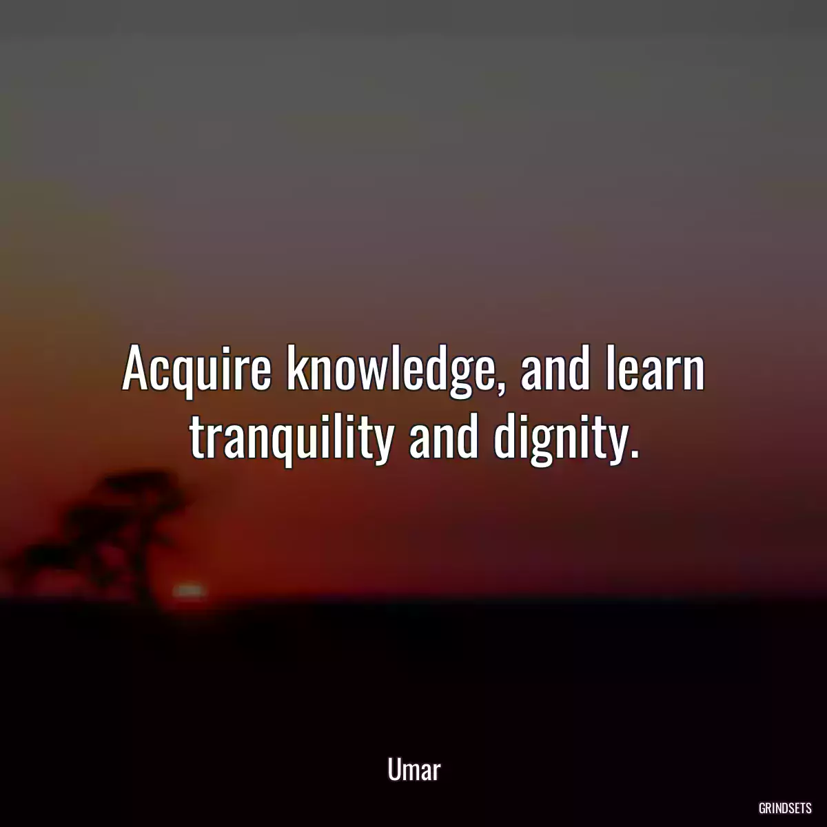 Acquire knowledge, and learn tranquility and dignity.