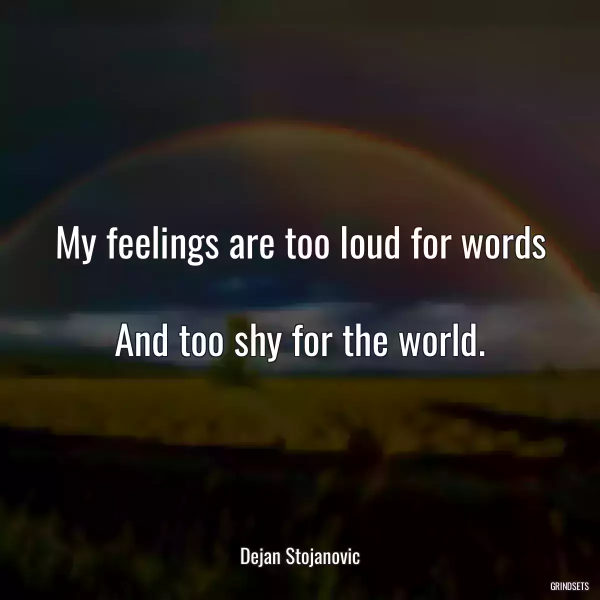 My feelings are too loud for words 
And too shy for the world.