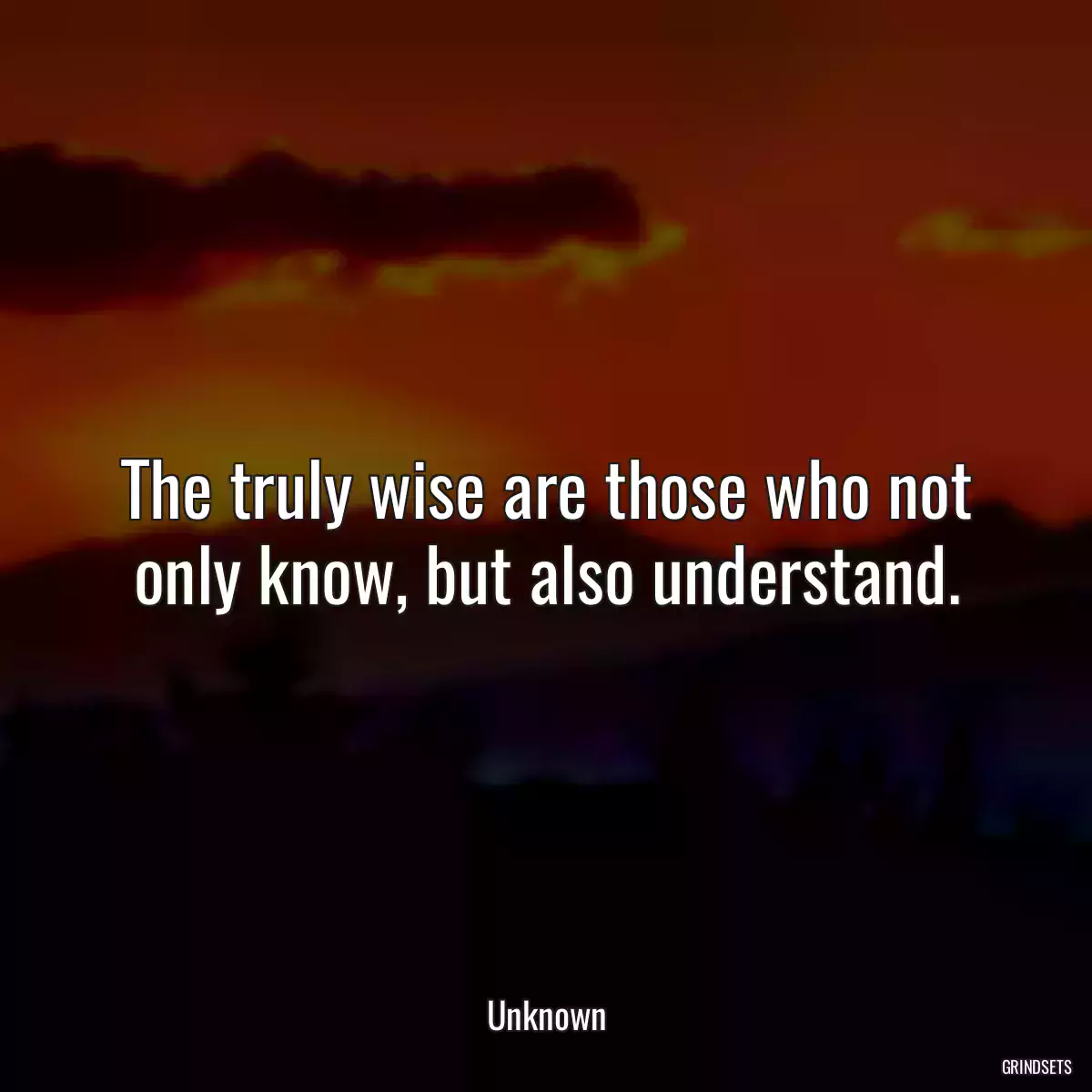 The truly wise are those who not only know, but also understand.