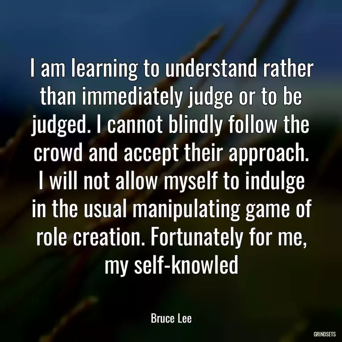 I am learning to understand rather than immediately judge or to be judged. I cannot blindly follow the crowd and accept their approach. I will not allow myself to indulge in the usual manipulating game of role creation. Fortunately for me, my self-knowled