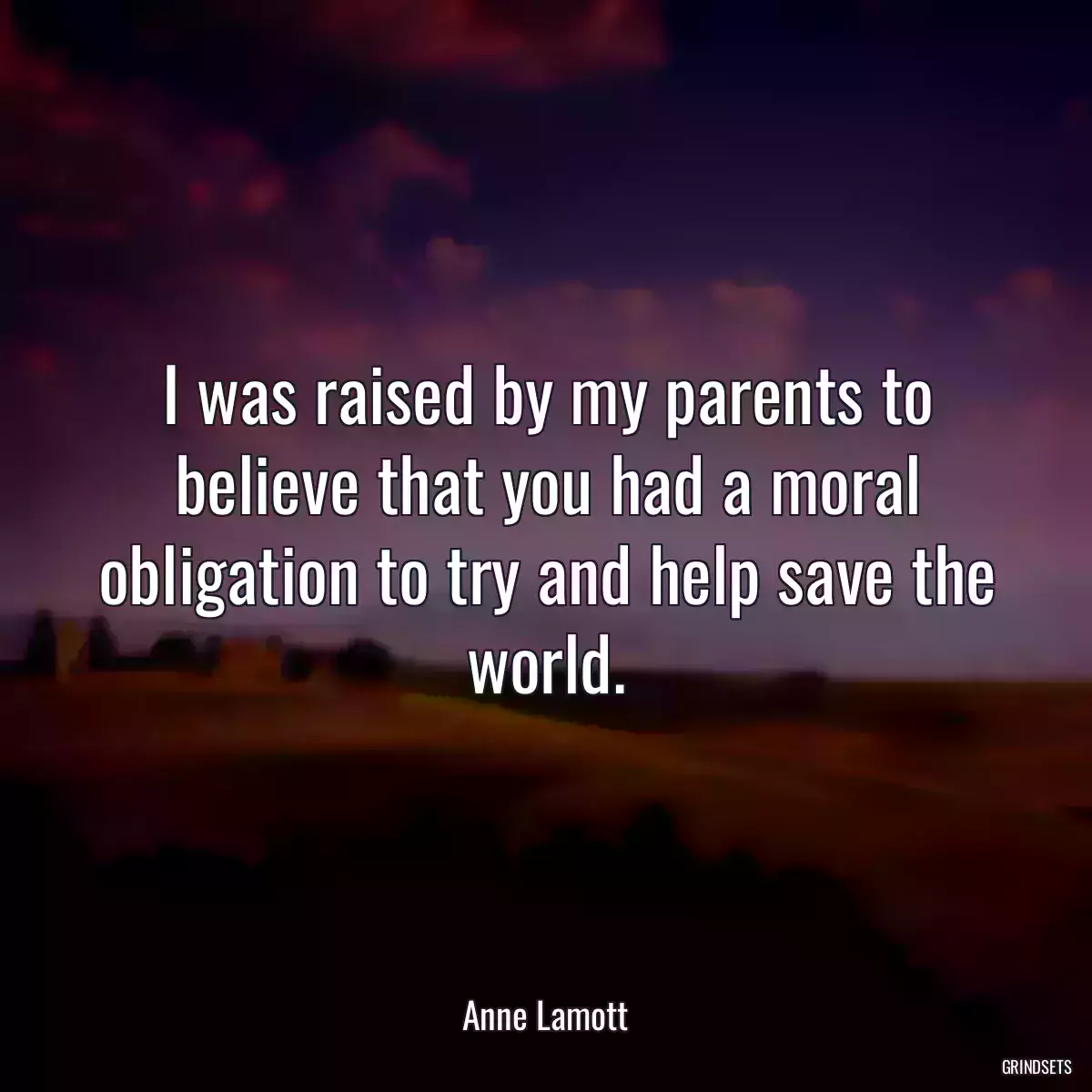 I was raised by my parents to believe that you had a moral obligation to try and help save the world.