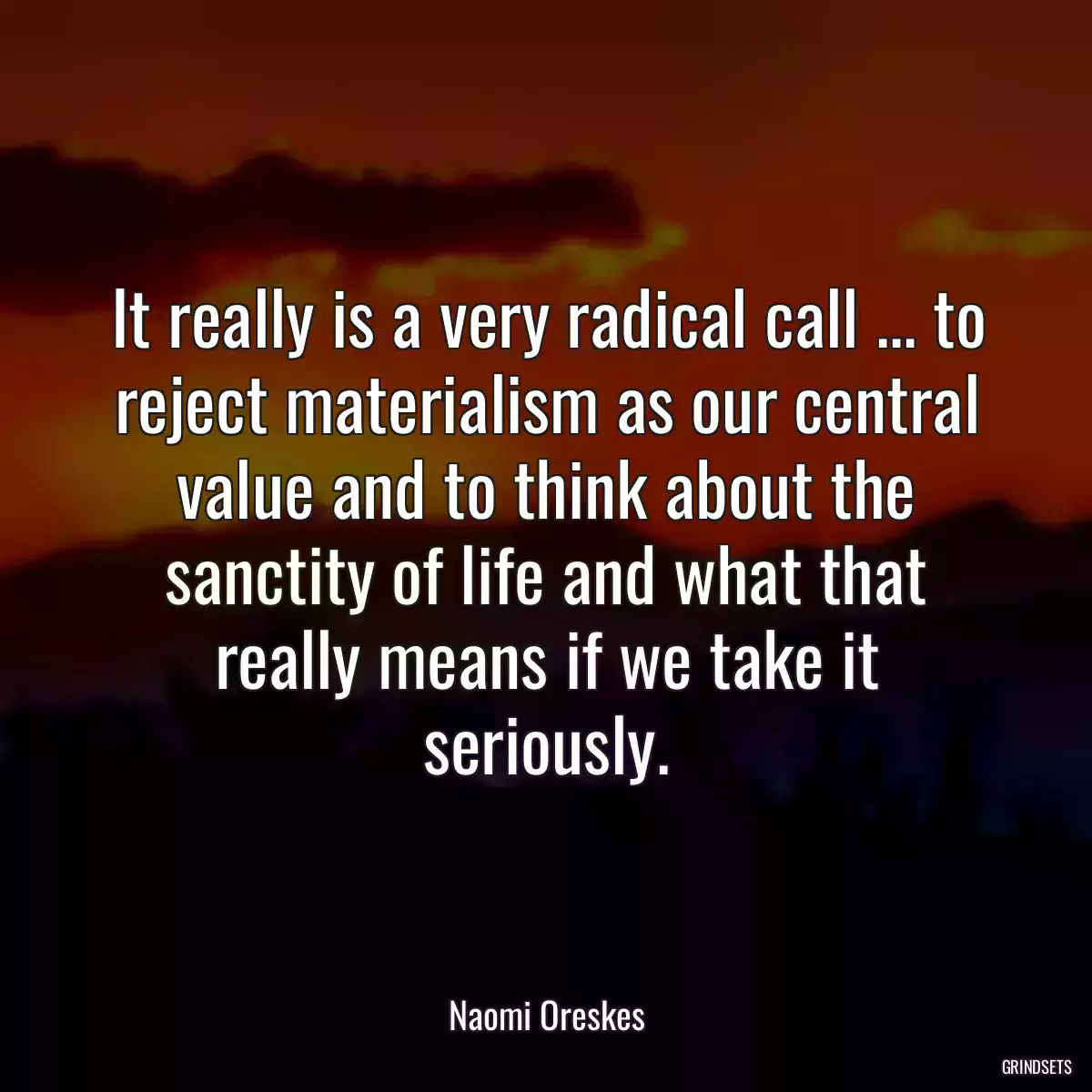 It really is a very radical call ... to reject materialism as our central value and to think about the sanctity of life and what that really means if we take it seriously.