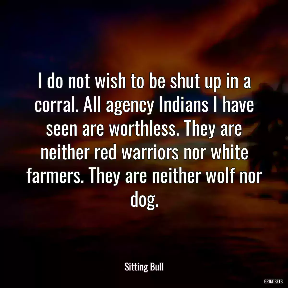 I do not wish to be shut up in a corral. All agency Indians I have seen are worthless. They are neither red warriors nor white farmers. They are neither wolf nor dog.