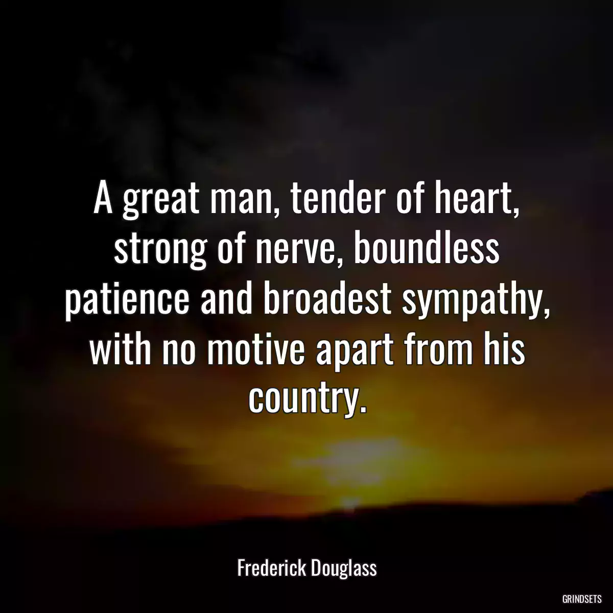 A great man, tender of heart, strong of nerve, boundless patience and broadest sympathy, with no motive apart from his country.