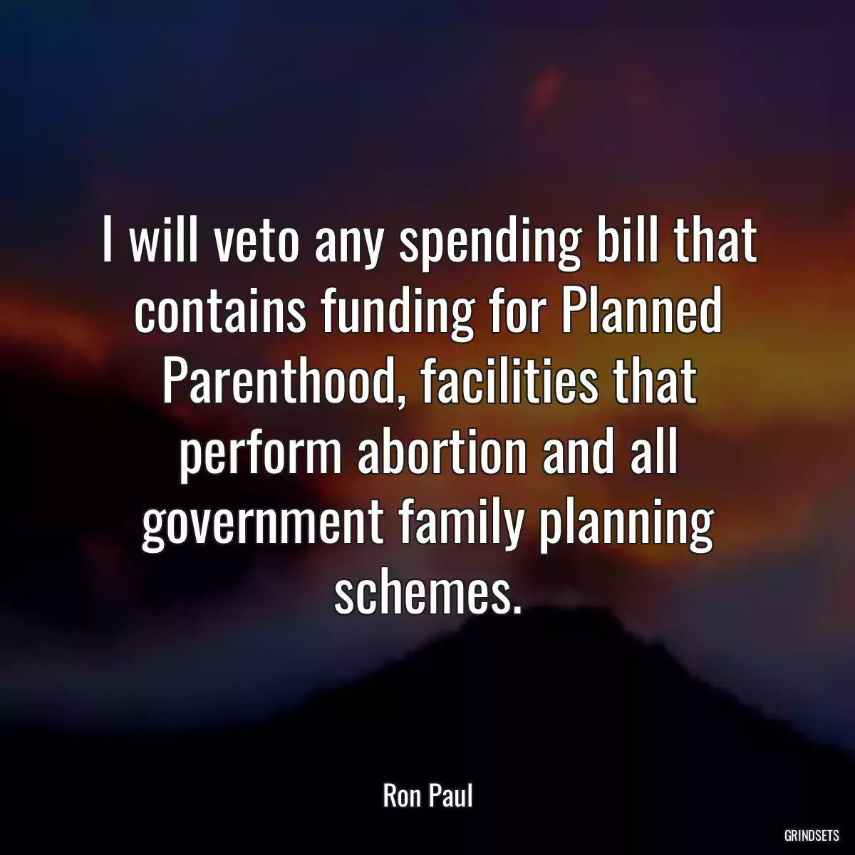 I will veto any spending bill that contains funding for Planned Parenthood, facilities that perform abortion and all government family planning schemes.