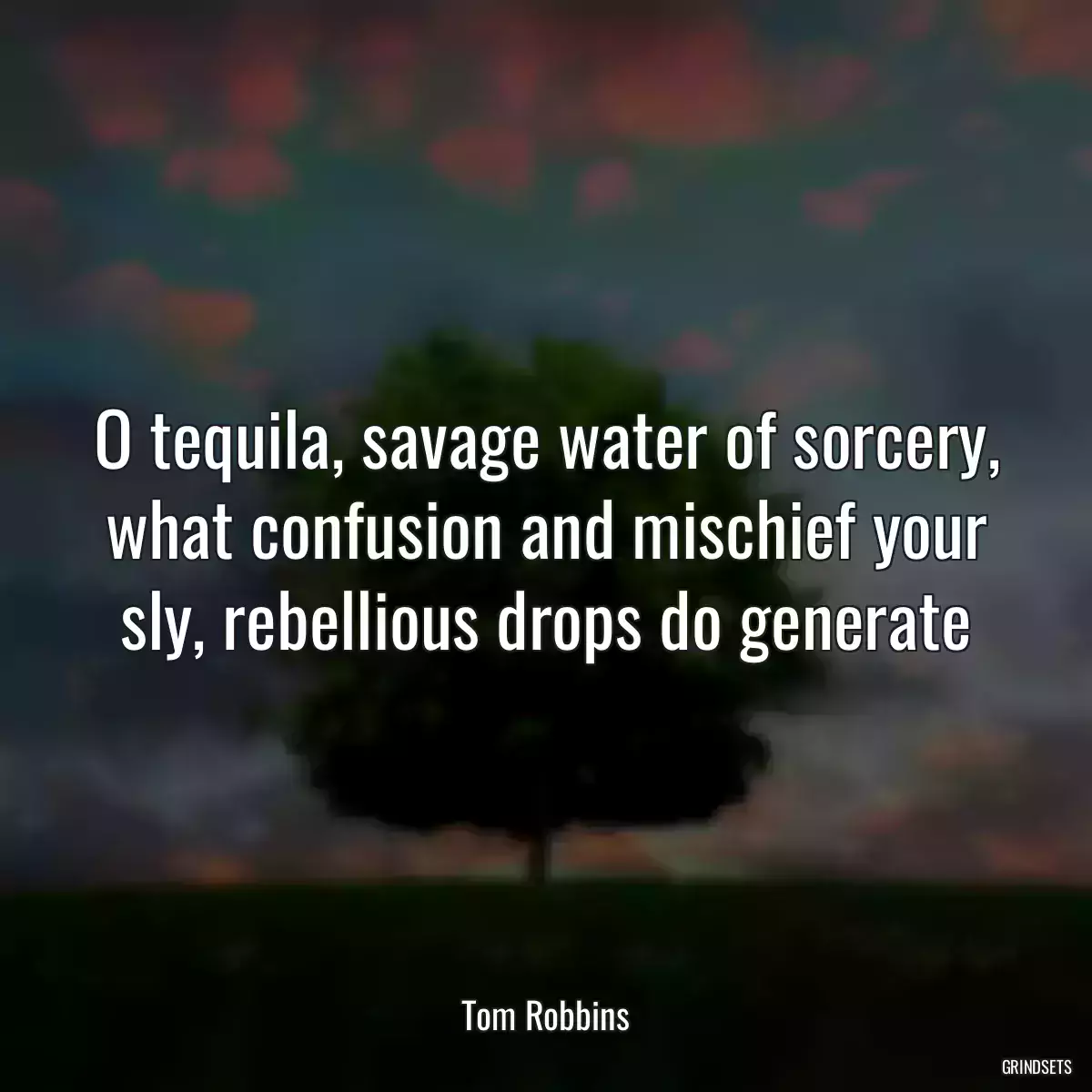 O tequila, savage water of sorcery, what confusion and mischief your sly, rebellious drops do generate