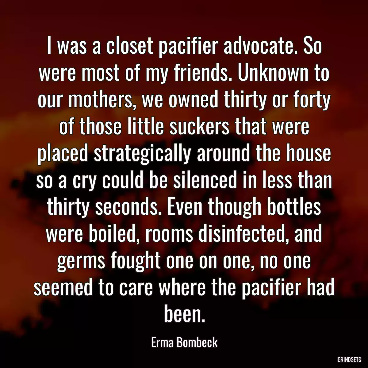 I was a closet pacifier advocate. So were most of my friends. Unknown to our mothers, we owned thirty or forty of those little suckers that were placed strategically around the house so a cry could be silenced in less than thirty seconds. Even though bottles were boiled, rooms disinfected, and germs fought one on one, no one seemed to care where the pacifier had been.