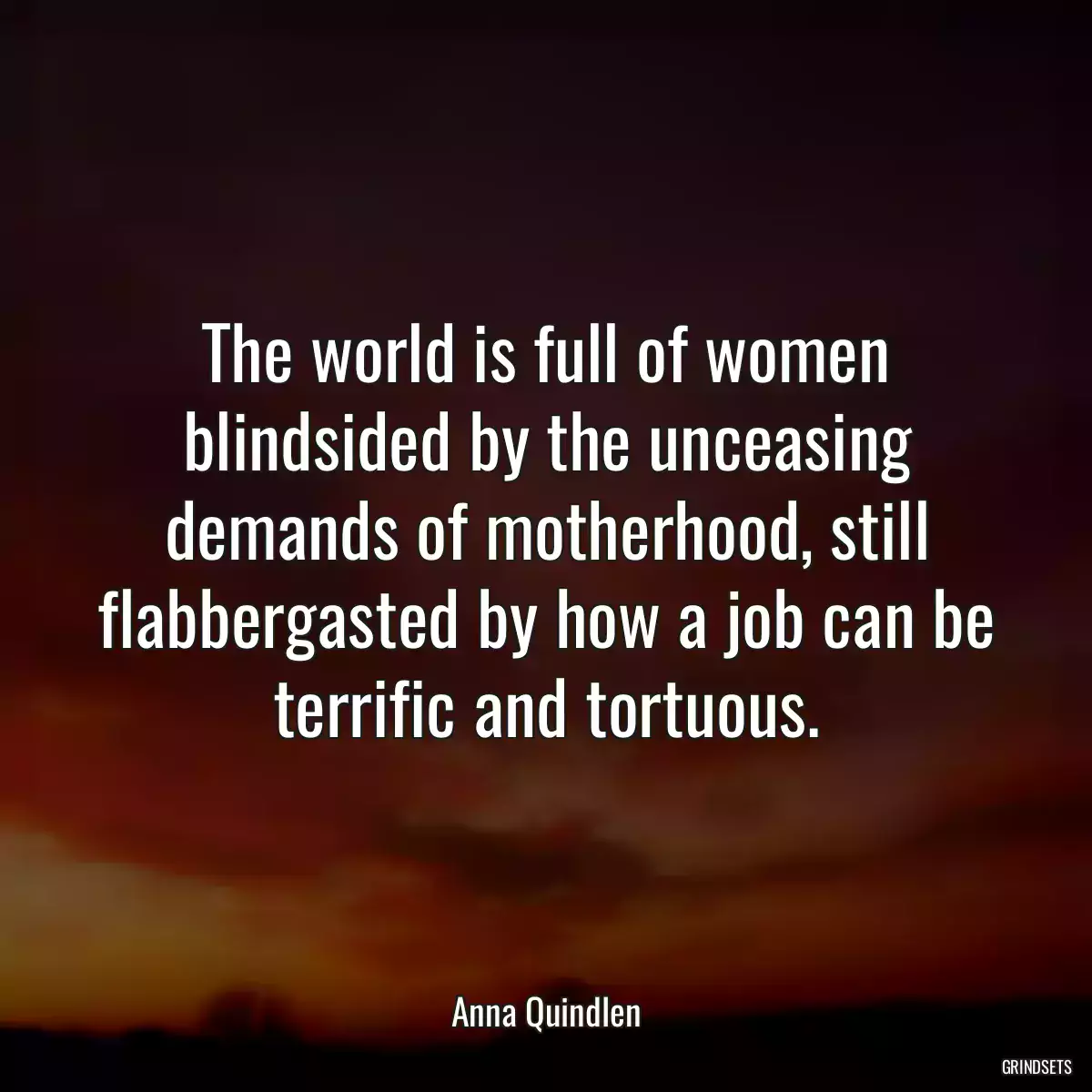 The world is full of women blindsided by the unceasing demands of motherhood, still flabbergasted by how a job can be terrific and tortuous.