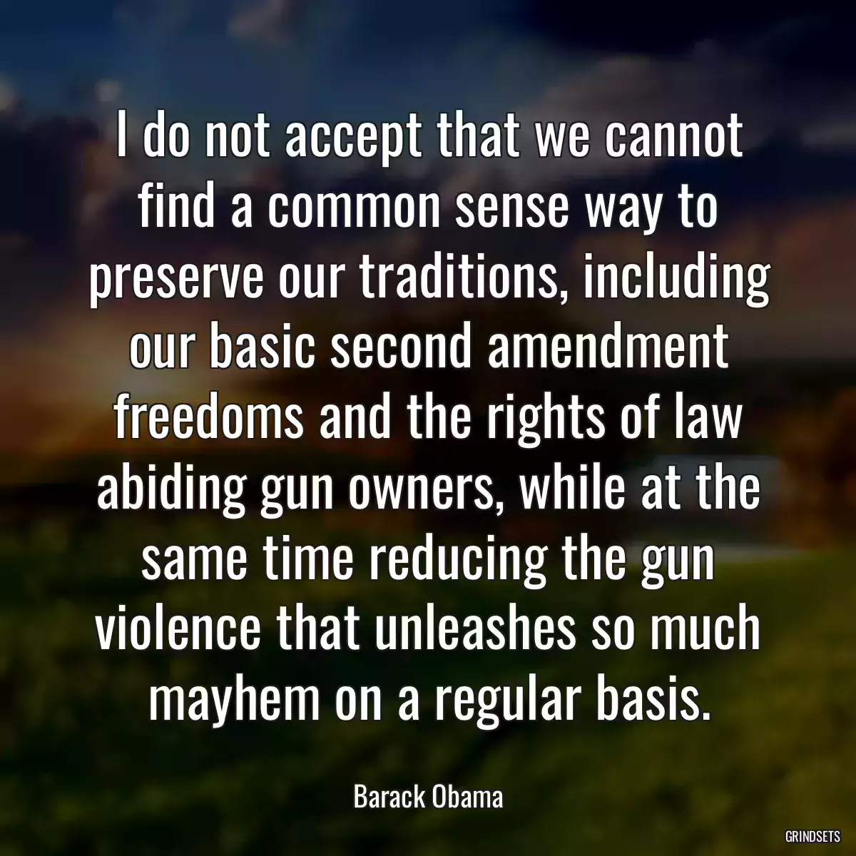 I do not accept that we cannot find a common sense way to preserve our traditions, including our basic second amendment freedoms and the rights of law abiding gun owners, while at the same time reducing the gun violence that unleashes so much mayhem on a regular basis.