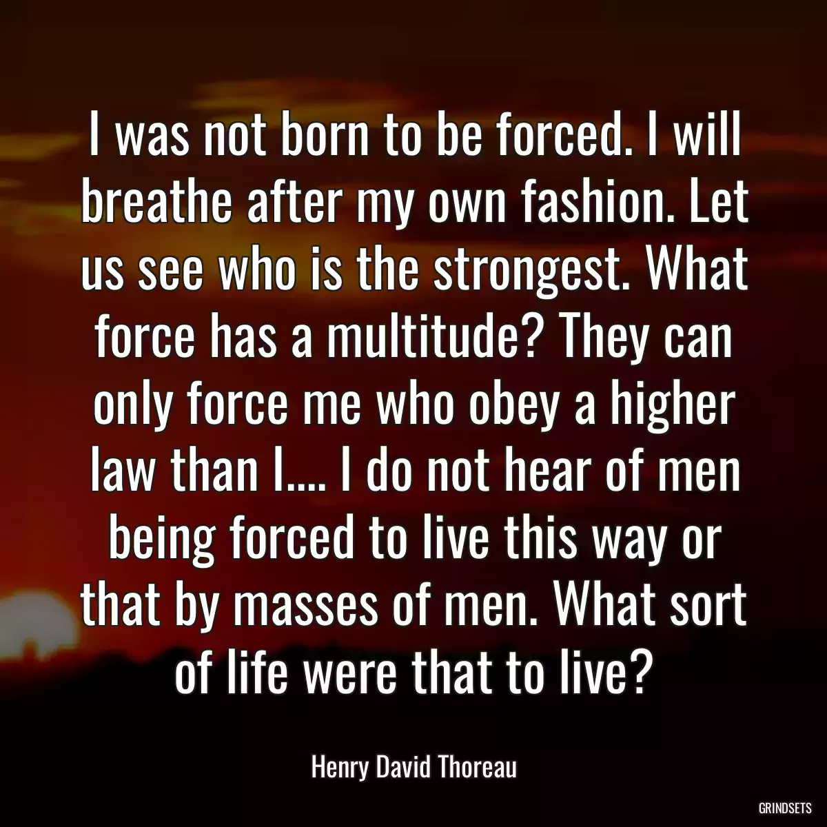 I was not born to be forced. I will breathe after my own fashion. Let us see who is the strongest. What force has a multitude? They can only force me who obey a higher law than I.... I do not hear of men being forced to live this way or that by masses of men. What sort of life were that to live?