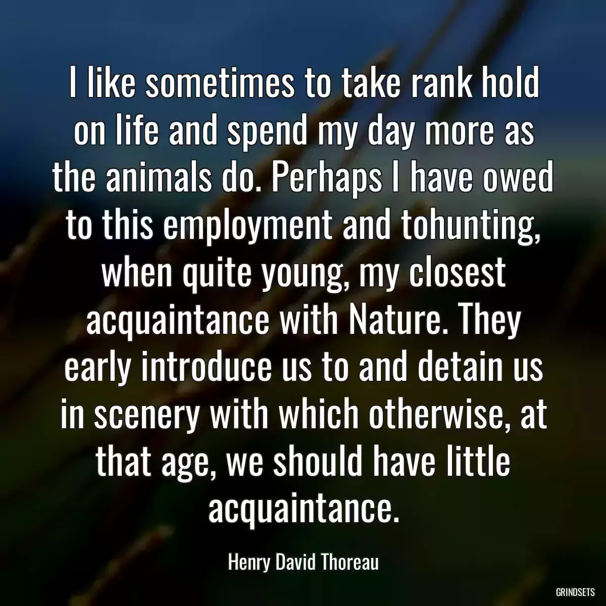 I like sometimes to take rank hold on life and spend my day more as the animals do. Perhaps I have owed to this employment and tohunting, when quite young, my closest acquaintance with Nature. They early introduce us to and detain us in scenery with which otherwise, at that age, we should have little acquaintance.