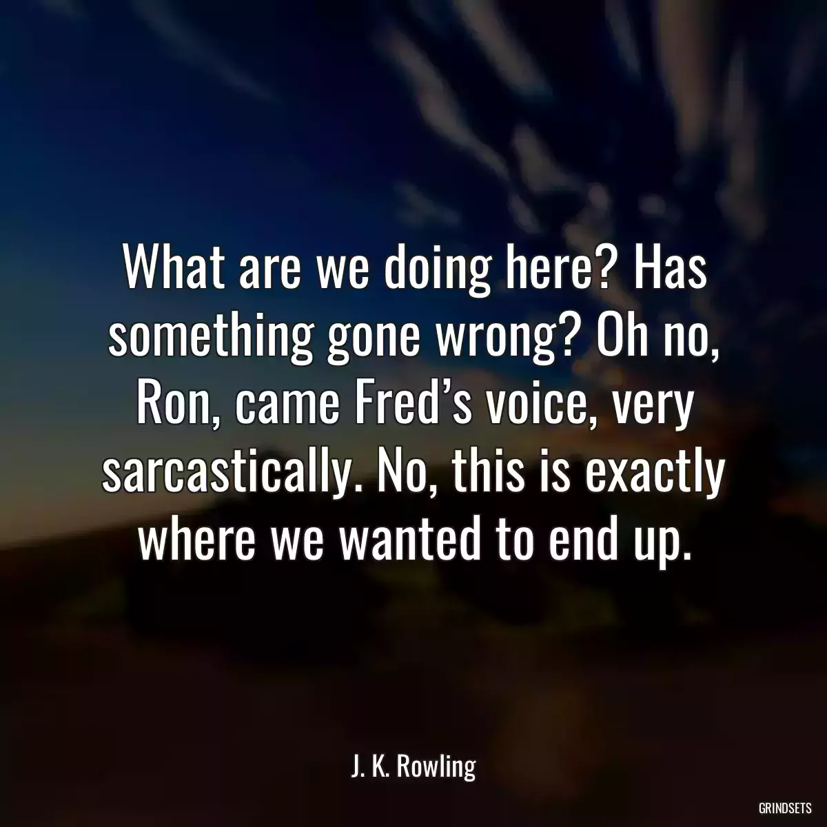 What are we doing here? Has something gone wrong? Oh no, Ron, came Fred’s voice, very sarcastically. No, this is exactly where we wanted to end up.