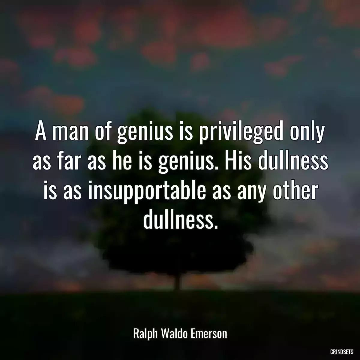 A man of genius is privileged only as far as he is genius. His dullness is as insupportable as any other dullness.