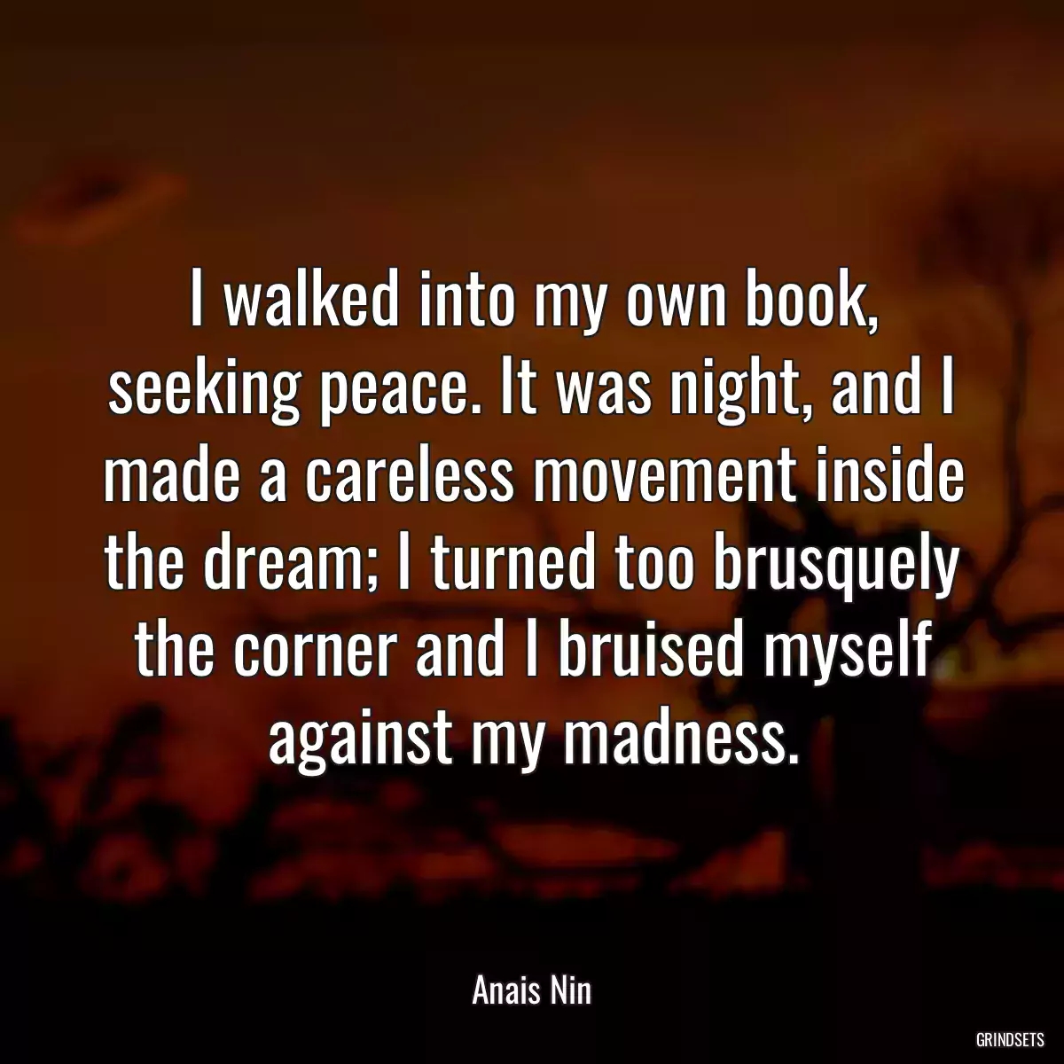 I walked into my own book, seeking peace. It was night, and I made a careless movement inside the dream; I turned too brusquely the corner and I bruised myself against my madness.