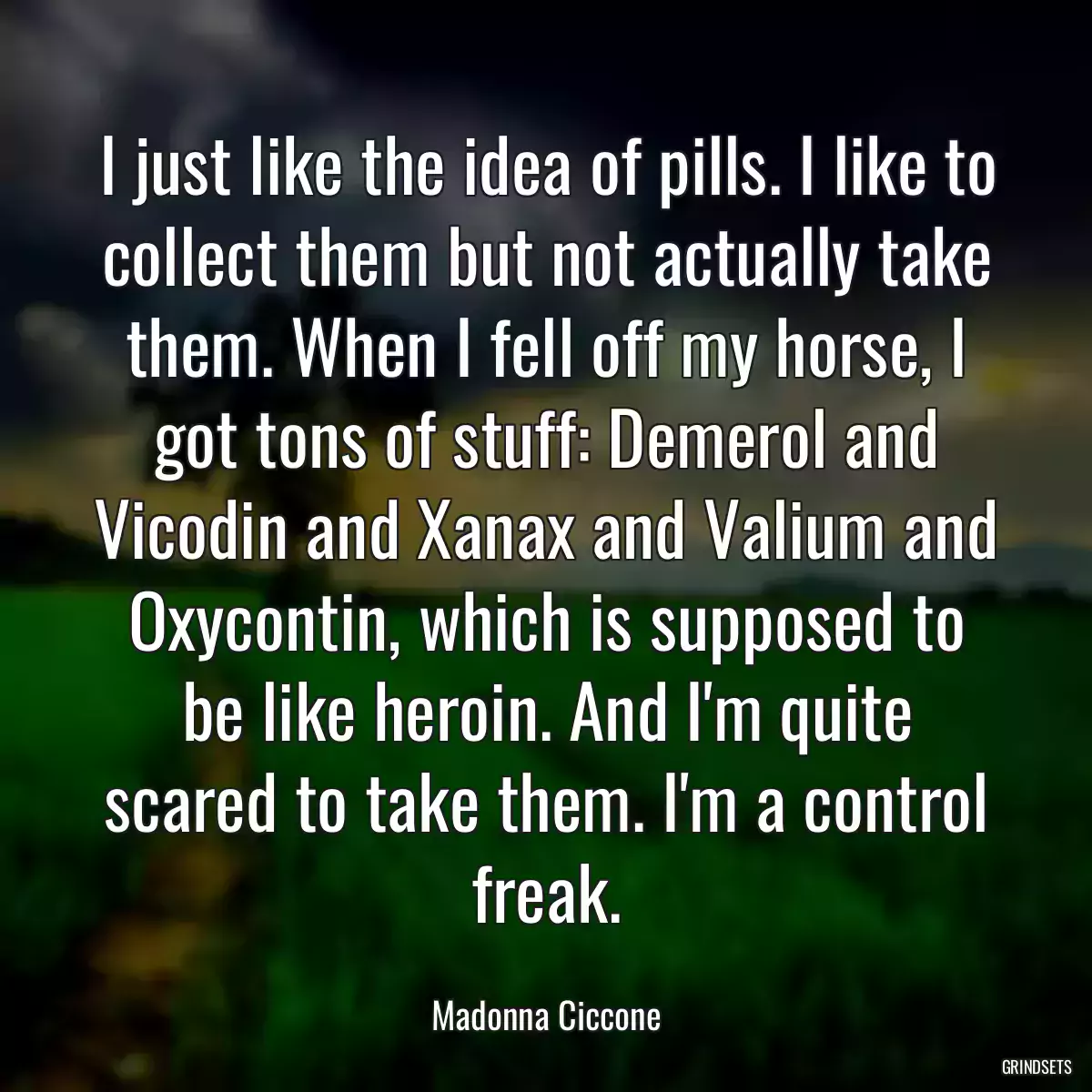 I just like the idea of pills. I like to collect them but not actually take them. When I fell off my horse, I got tons of stuff: Demerol and Vicodin and Xanax and Valium and Oxycontin, which is supposed to be like heroin. And I\'m quite scared to take them. I\'m a control freak.