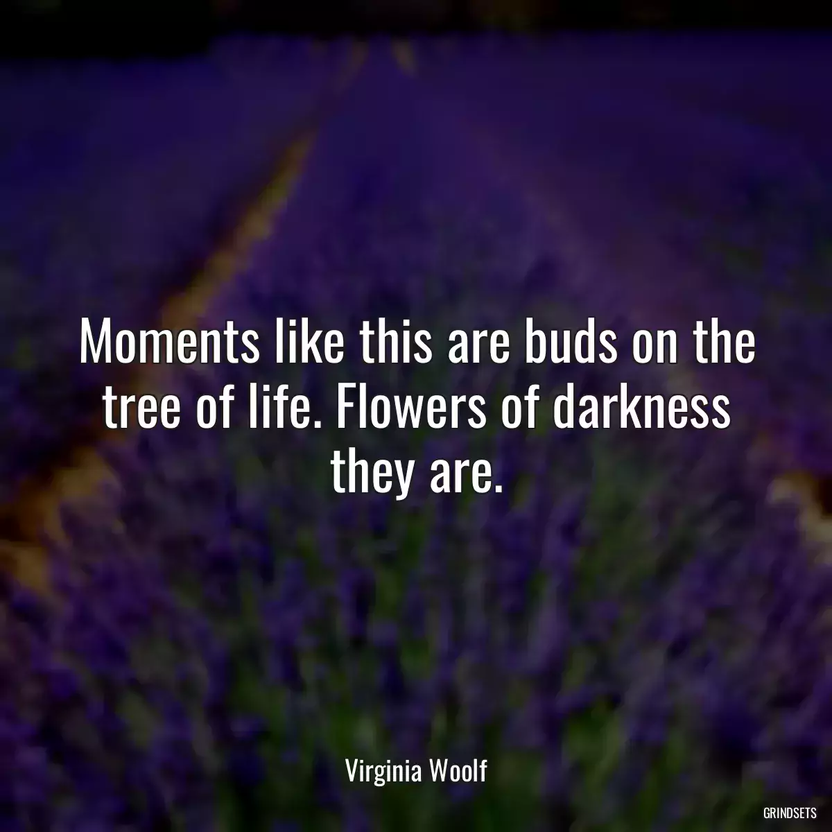 Moments like this are buds on the tree of life. Flowers of darkness they are.