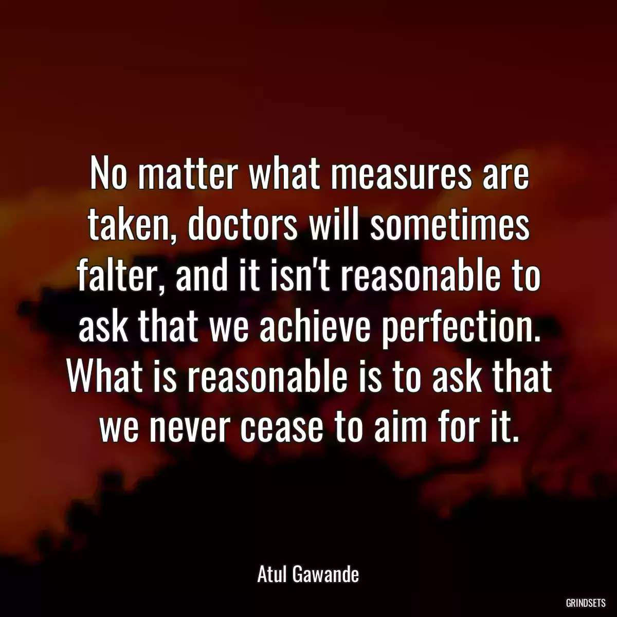 No matter what measures are taken, doctors will sometimes falter, and it isn\'t reasonable to ask that we achieve perfection. What is reasonable is to ask that we never cease to aim for it.