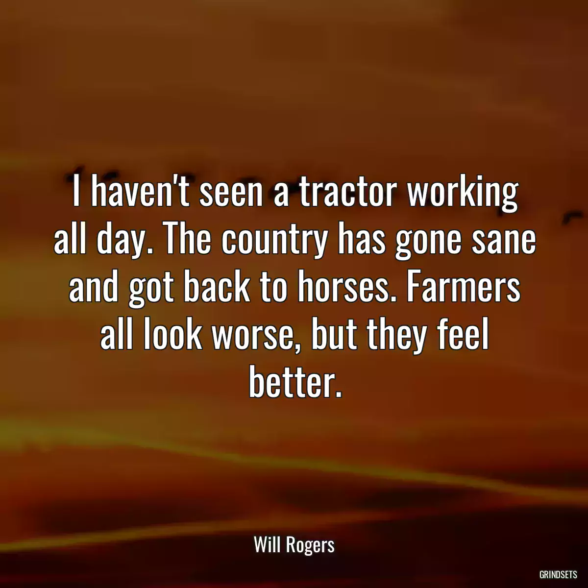 I haven\'t seen a tractor working all day. The country has gone sane and got back to horses. Farmers all look worse, but they feel better.